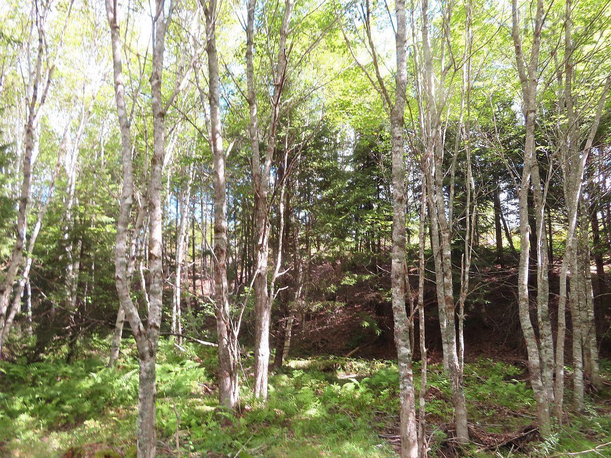 $167,000.00: 116.5 ACRES 348 Highway, Smithfield