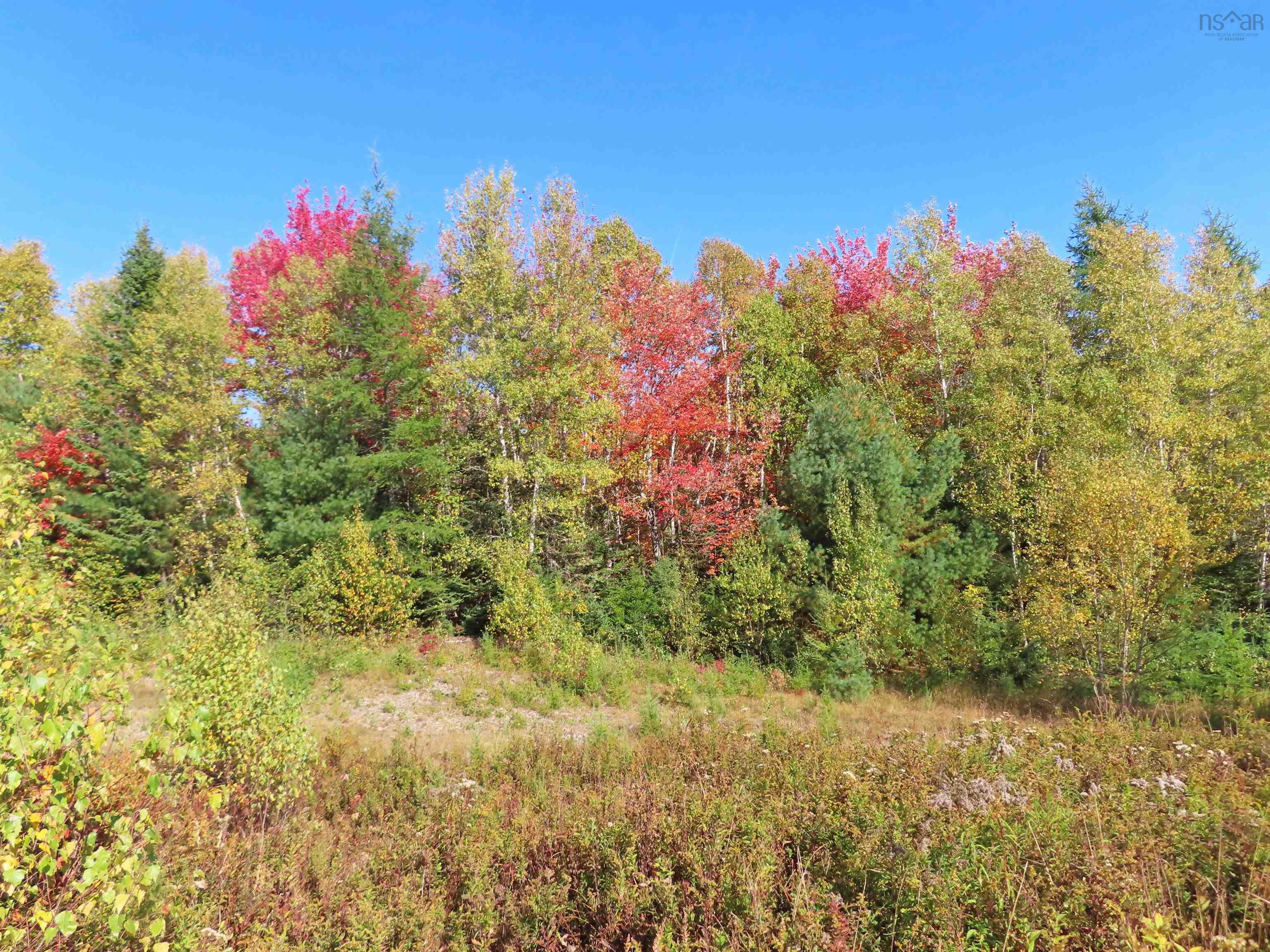 $167,000.00: 116.5 ACRES 348 Highway, Smithfield