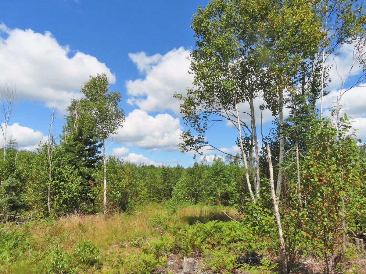 $167,000.00: 116.5 ACRES 348 Highway, Smithfield