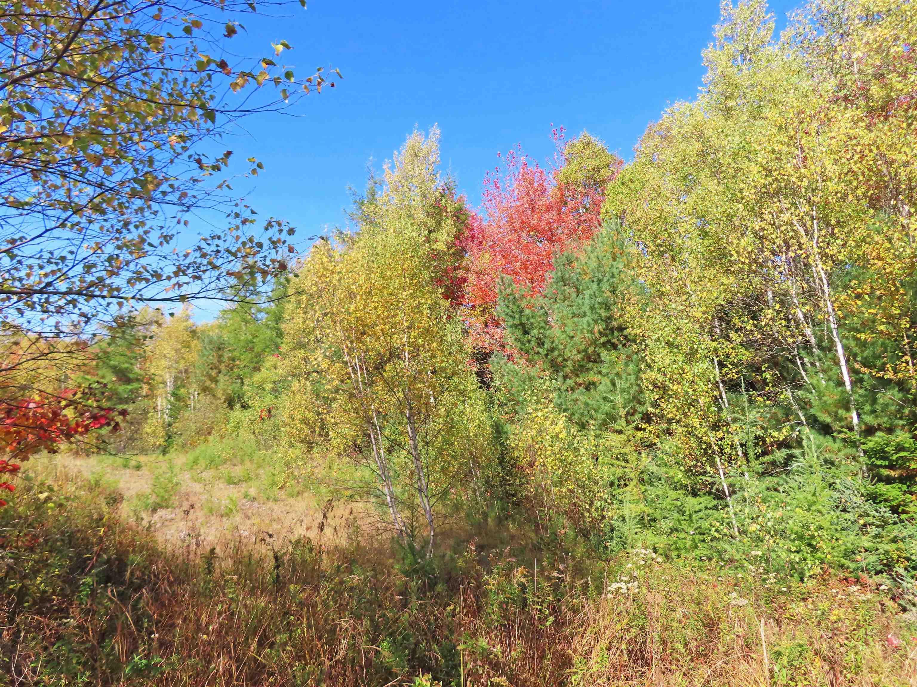 $167,000.00: 116.5 ACRES 348 Highway, Smithfield