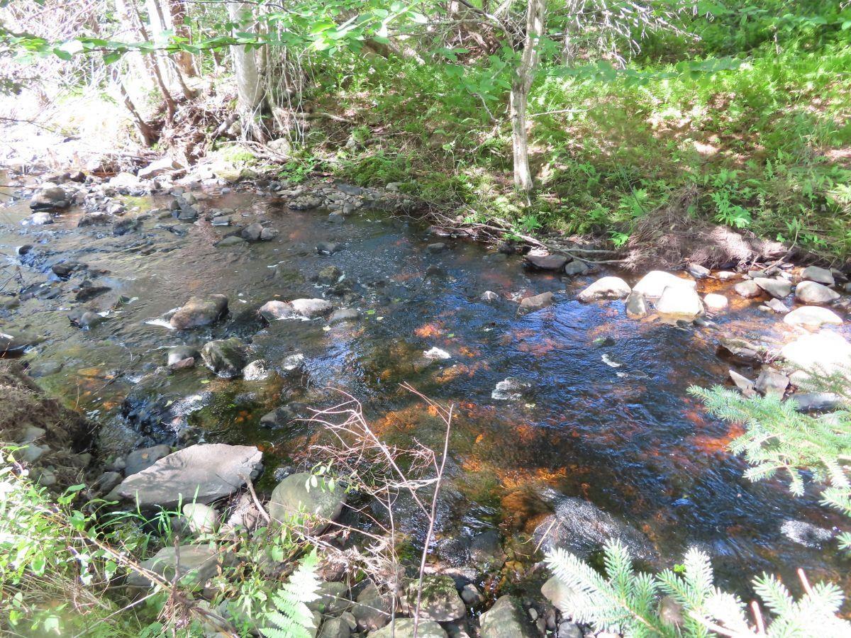 $167,000.00: 116.5 ACRES 348 Highway, Smithfield