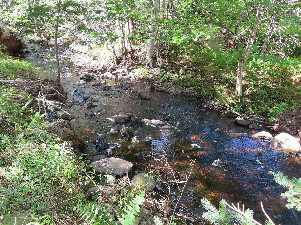 $167,000.00: 116.5 ACRES 348 Highway, Smithfield