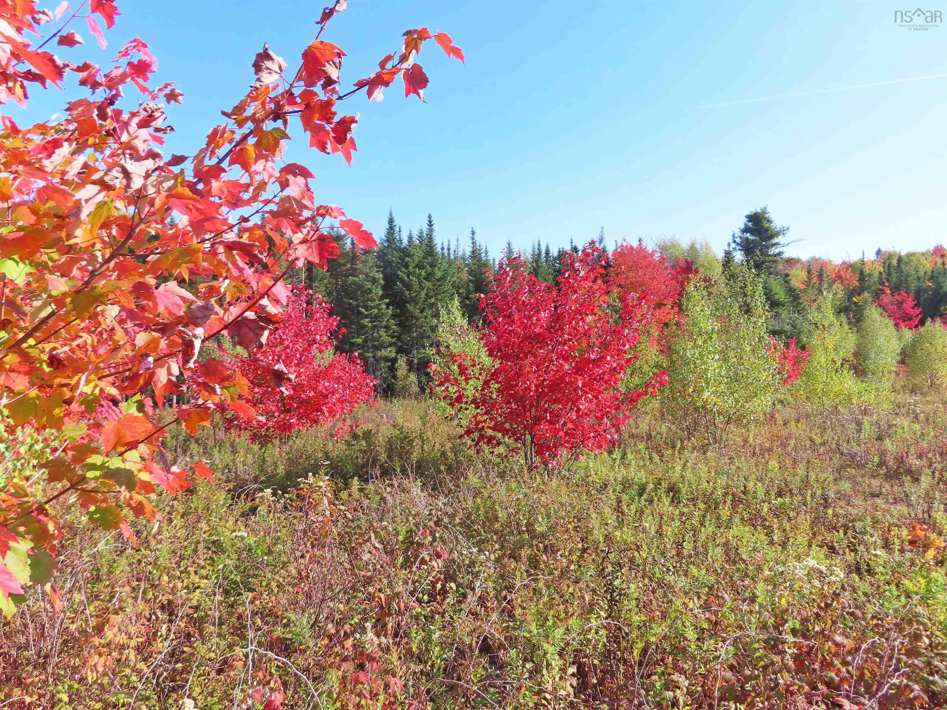 $167,000.00: 116.5 ACRES 348 Highway, Smithfield