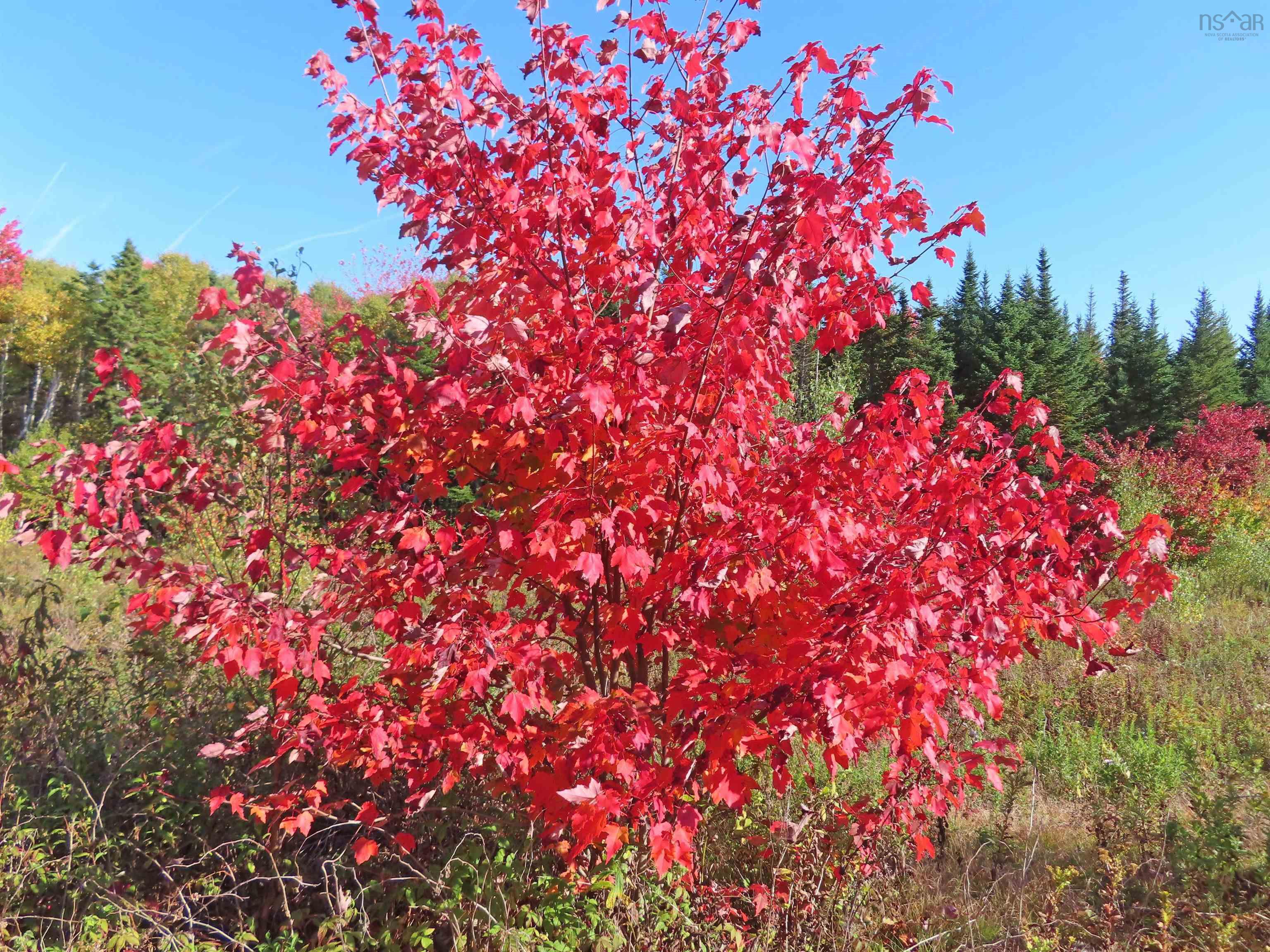 $167,000.00: 116.5 ACRES 348 Highway, Smithfield