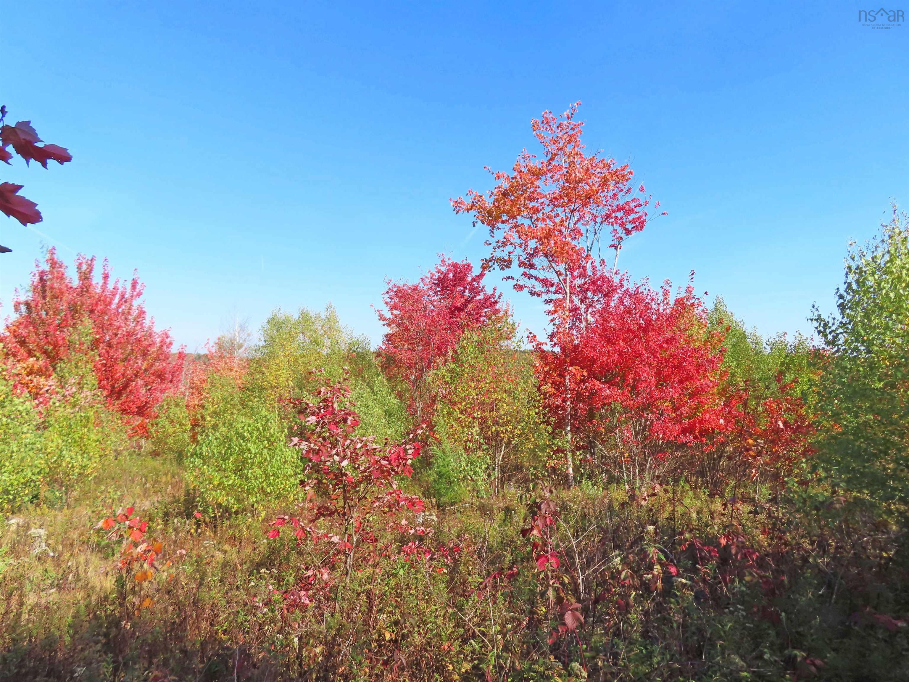 $167,000.00: 116.5 ACRES 348 Highway, Smithfield