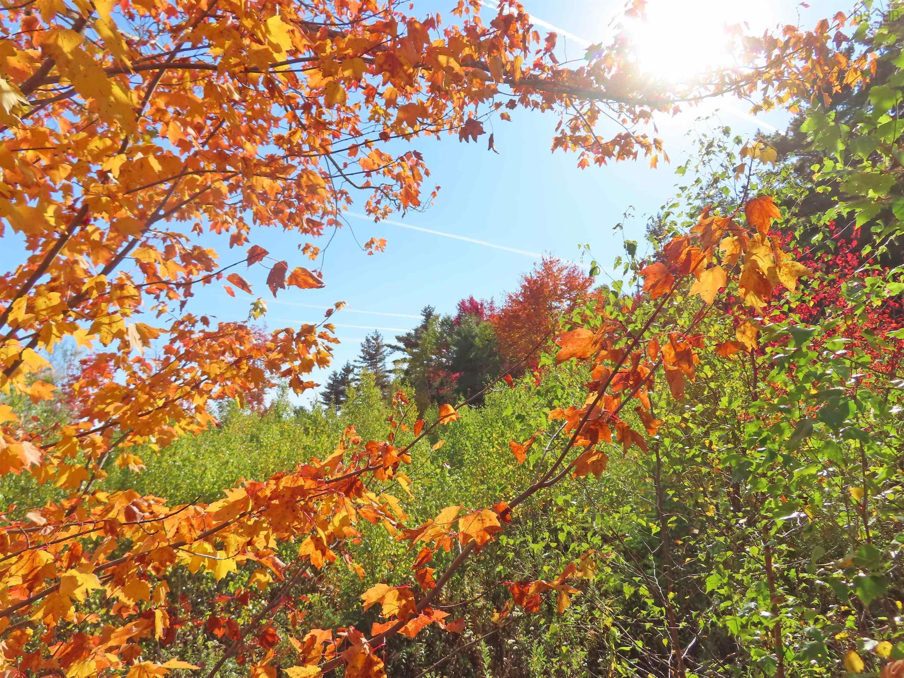 $167,000.00: 116.5 ACRES 348 Highway, Smithfield