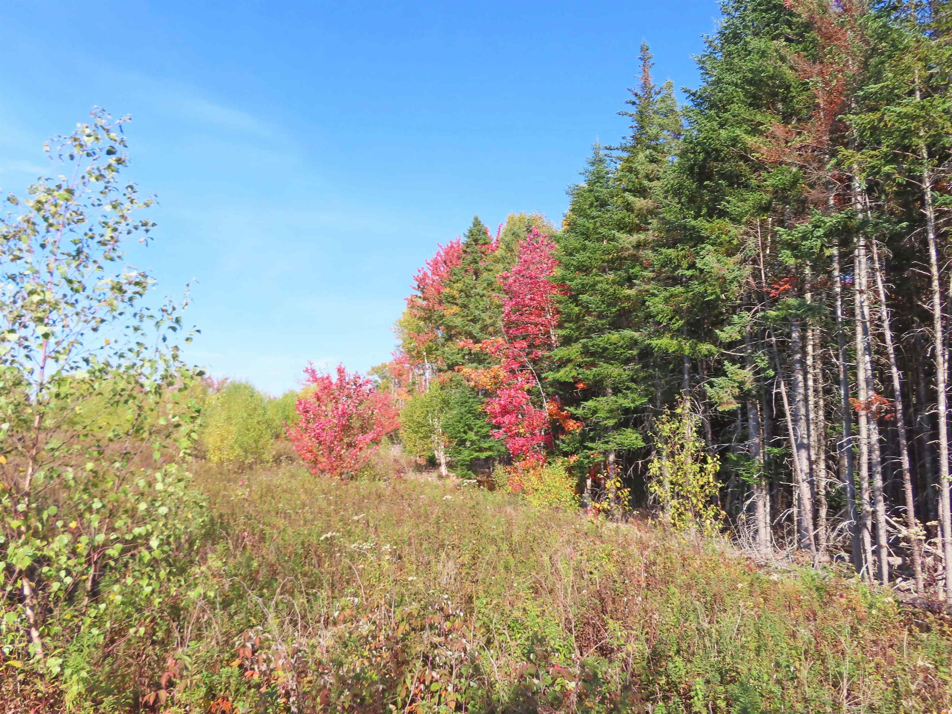 $167,000.00: 116.5 ACRES 348 Highway, Smithfield