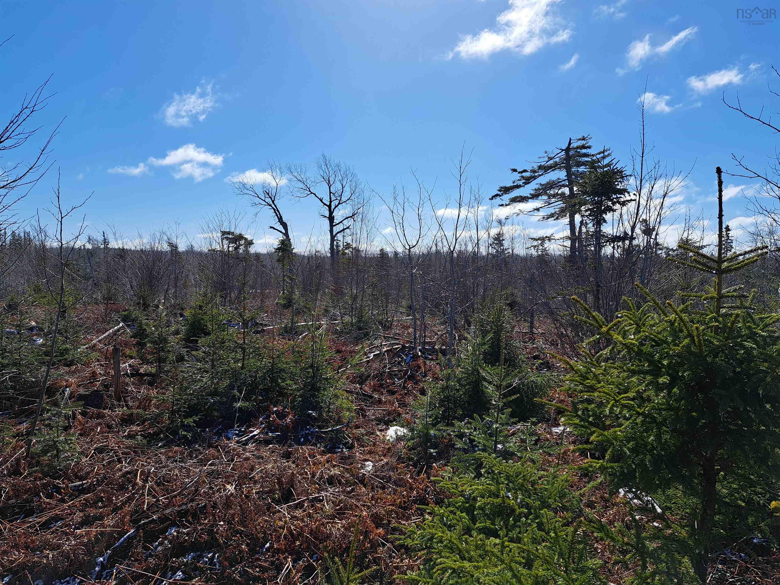 $32,500.00: Jim Bailey Road, Keeble