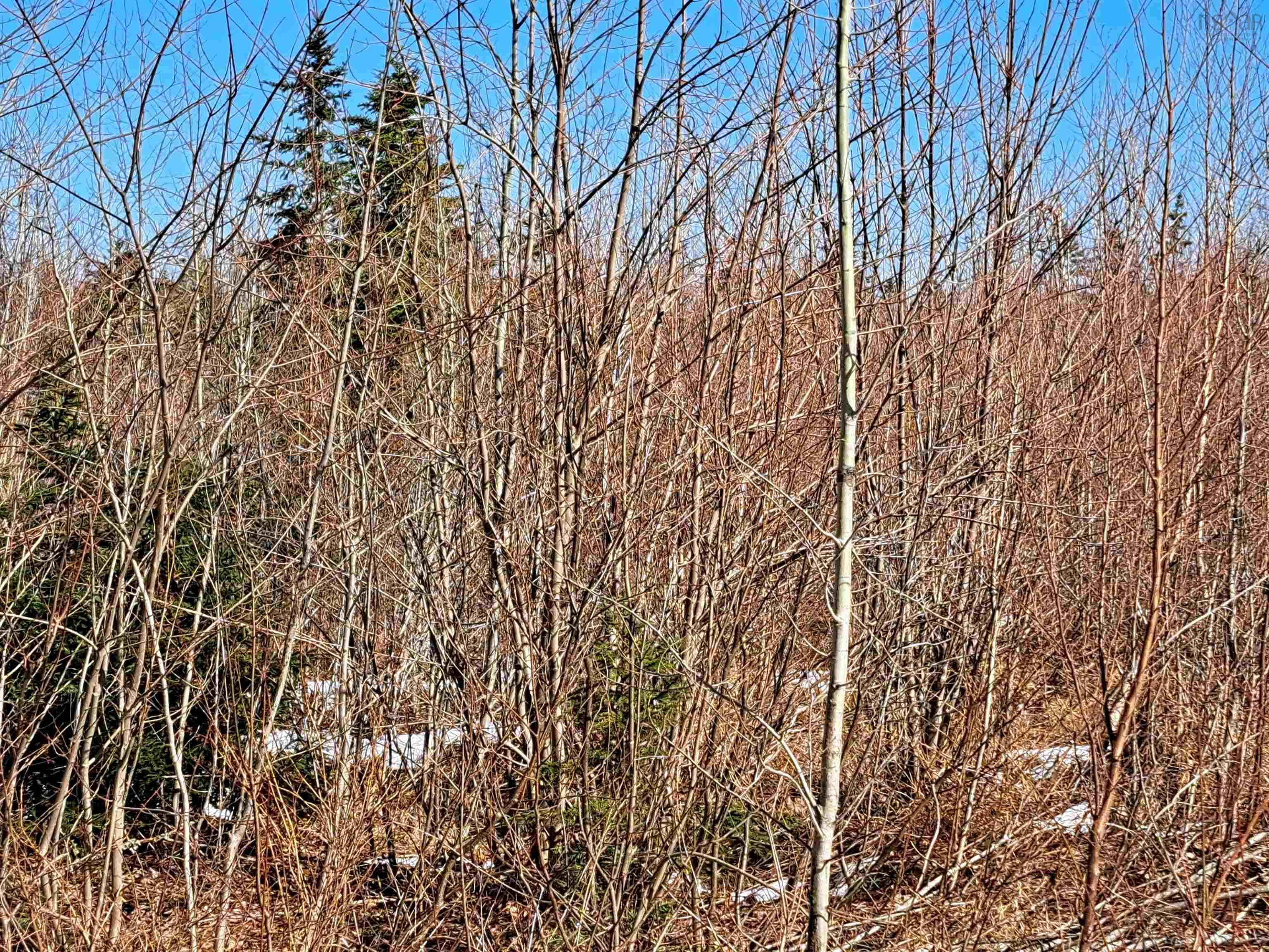 $32,500.00: Jim Bailey Road, Keeble