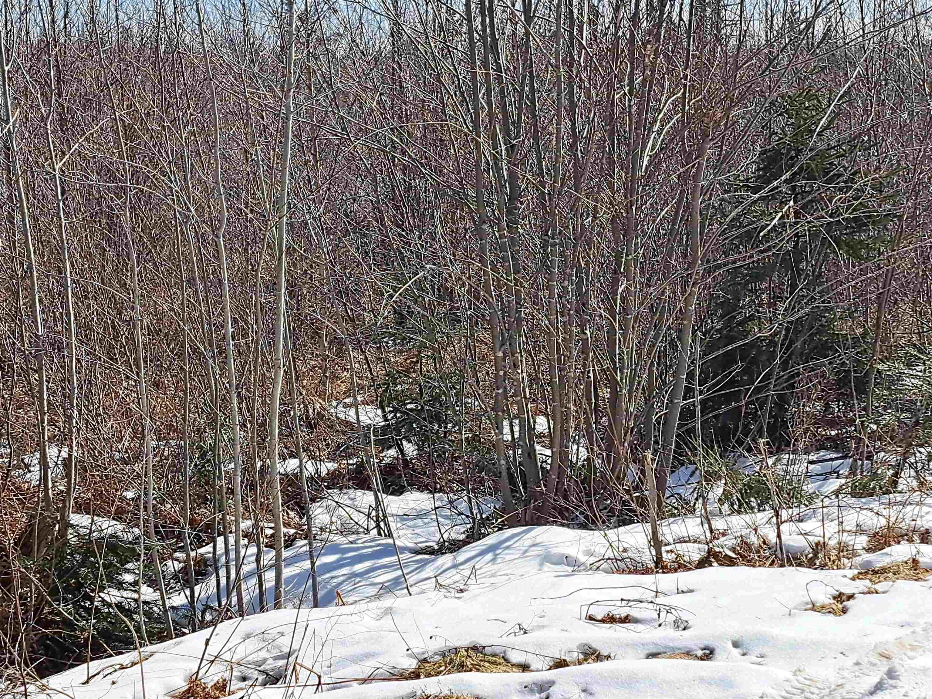 $32,500.00: Jim Bailey Road, Keeble