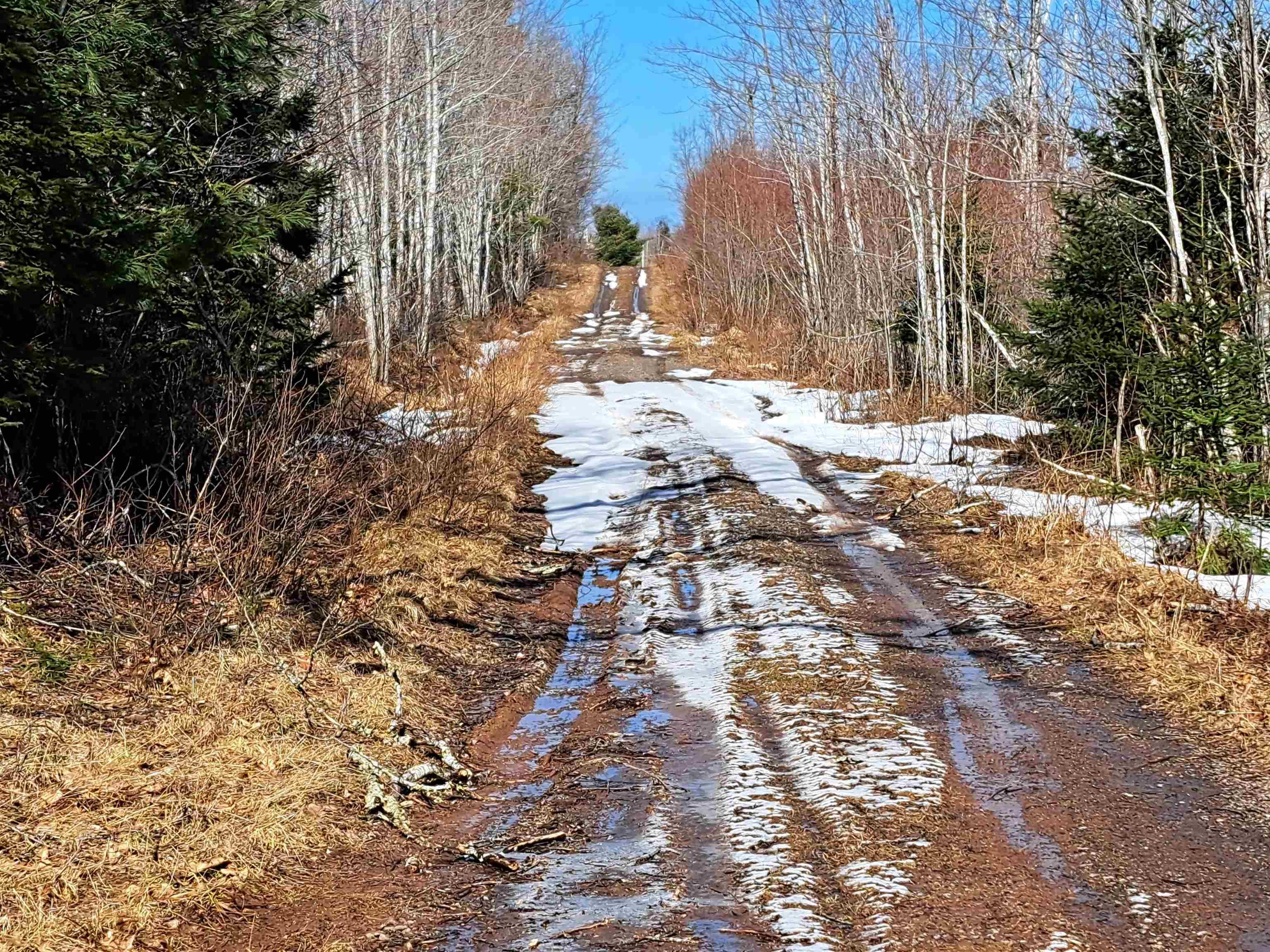 $32,500.00: Jim Bailey Road, Keeble