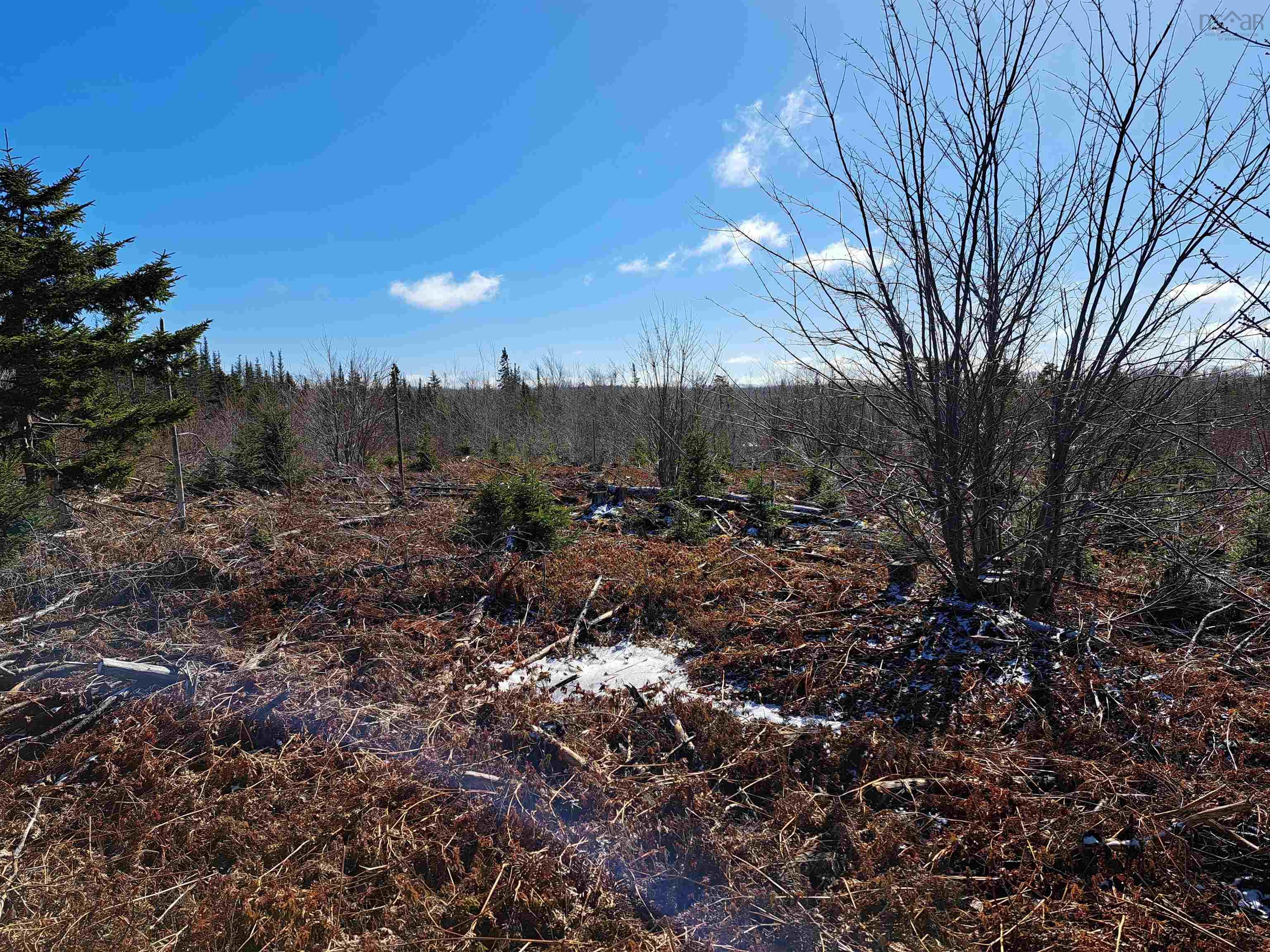 $32,500.00: Jim Bailey Road, Keeble
