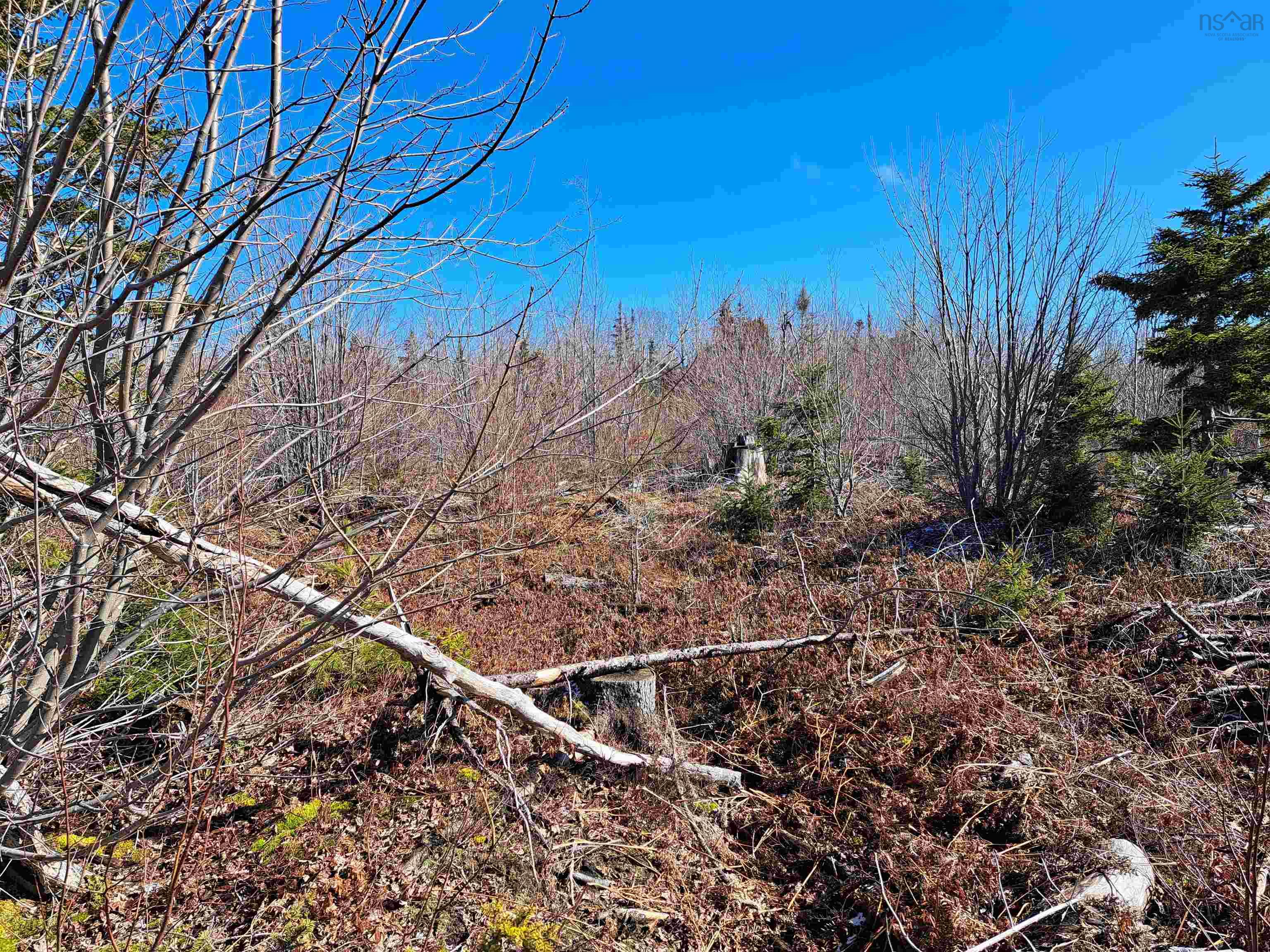 $32,500.00: Jim Bailey Road, Keeble