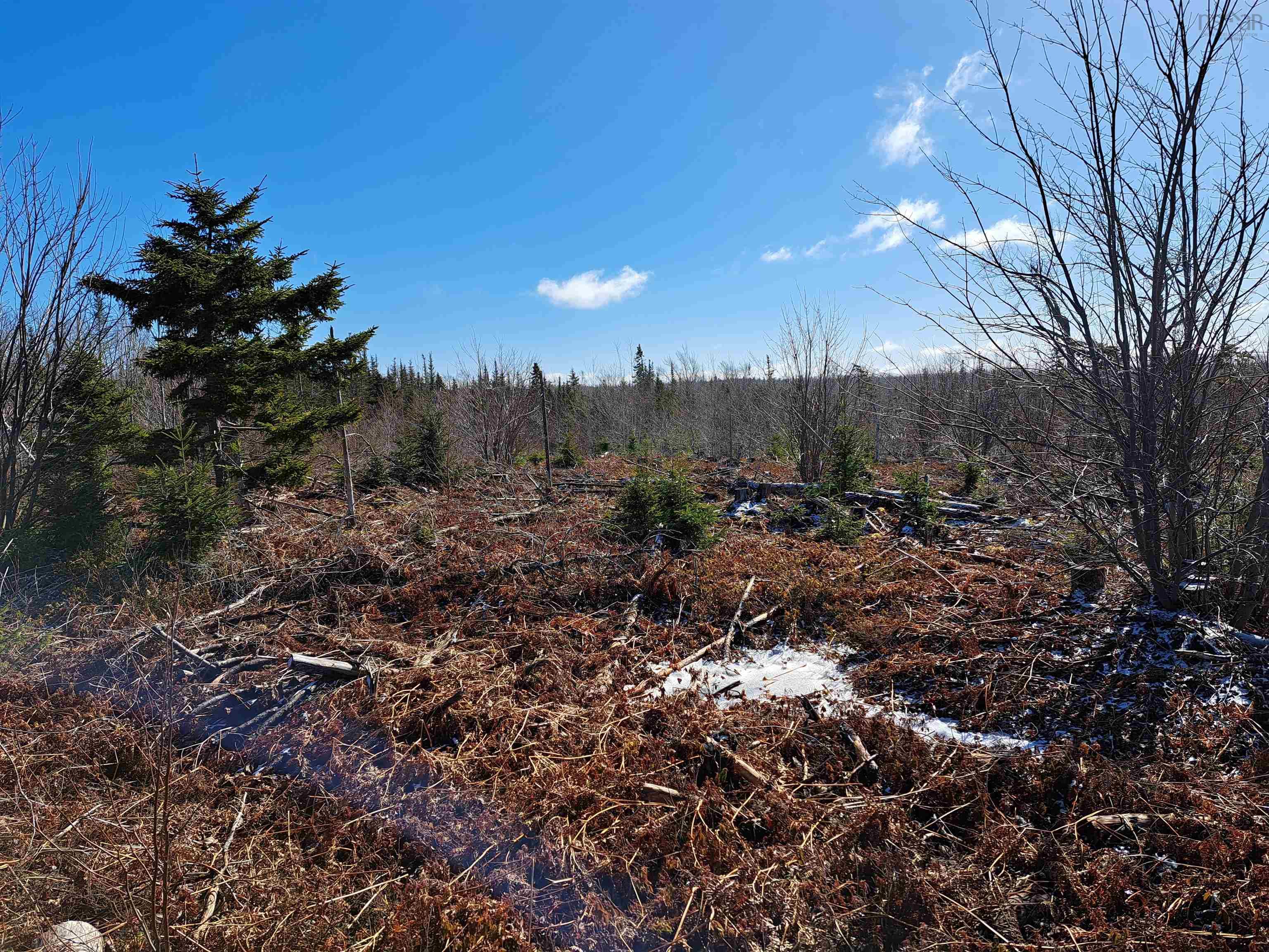 $32,500.00: Jim Bailey Road, Keeble