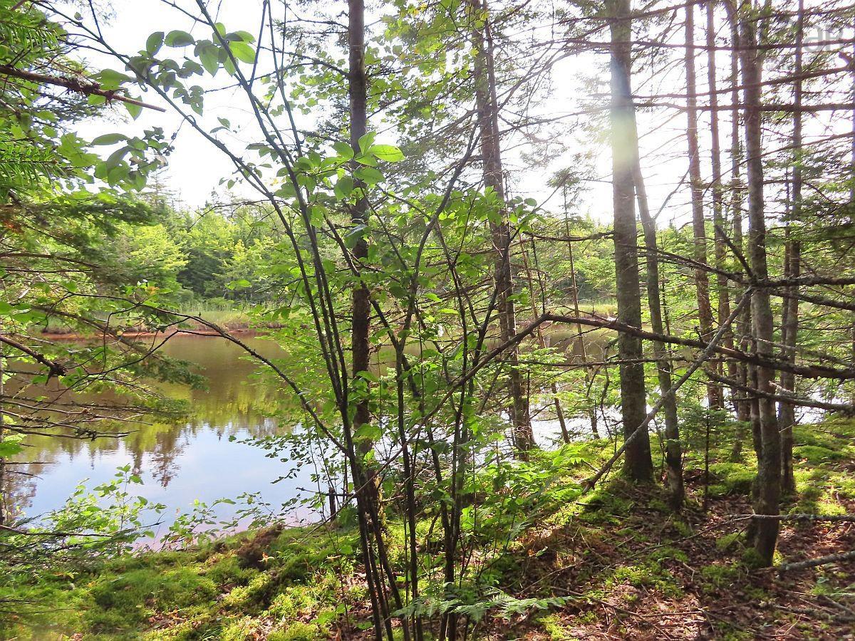$60,000.00: Lot5 Lower River Road, Grantville