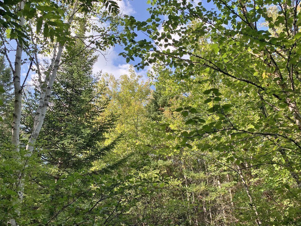 $60,000.00: Lot5 Lower River Road, Grantville