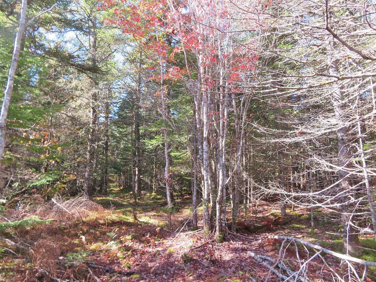 $60,000.00: Lot5 Lower River Road, Grantville