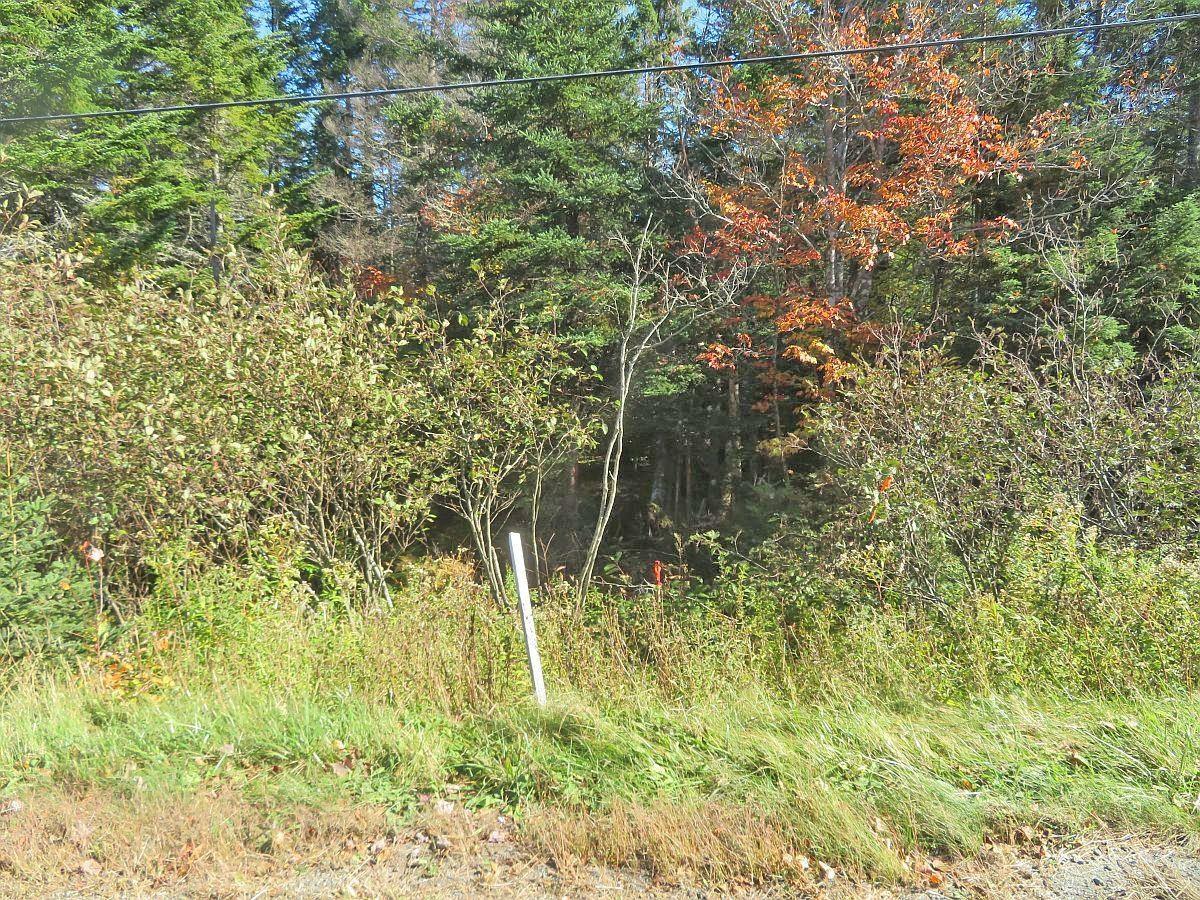 $60,000.00: Lot5 Lower River Road, Grantville