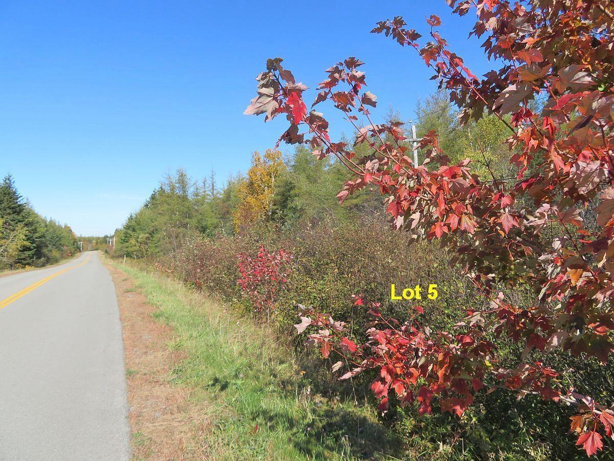 $60,000.00: Lot5 Lower River Road, Grantville