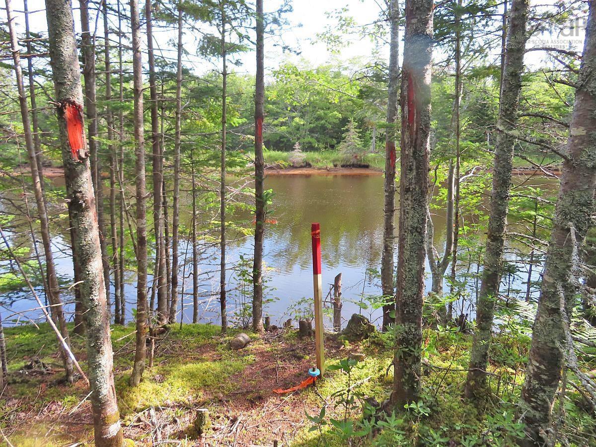 $60,000.00: Lot5 Lower River Road, Grantville