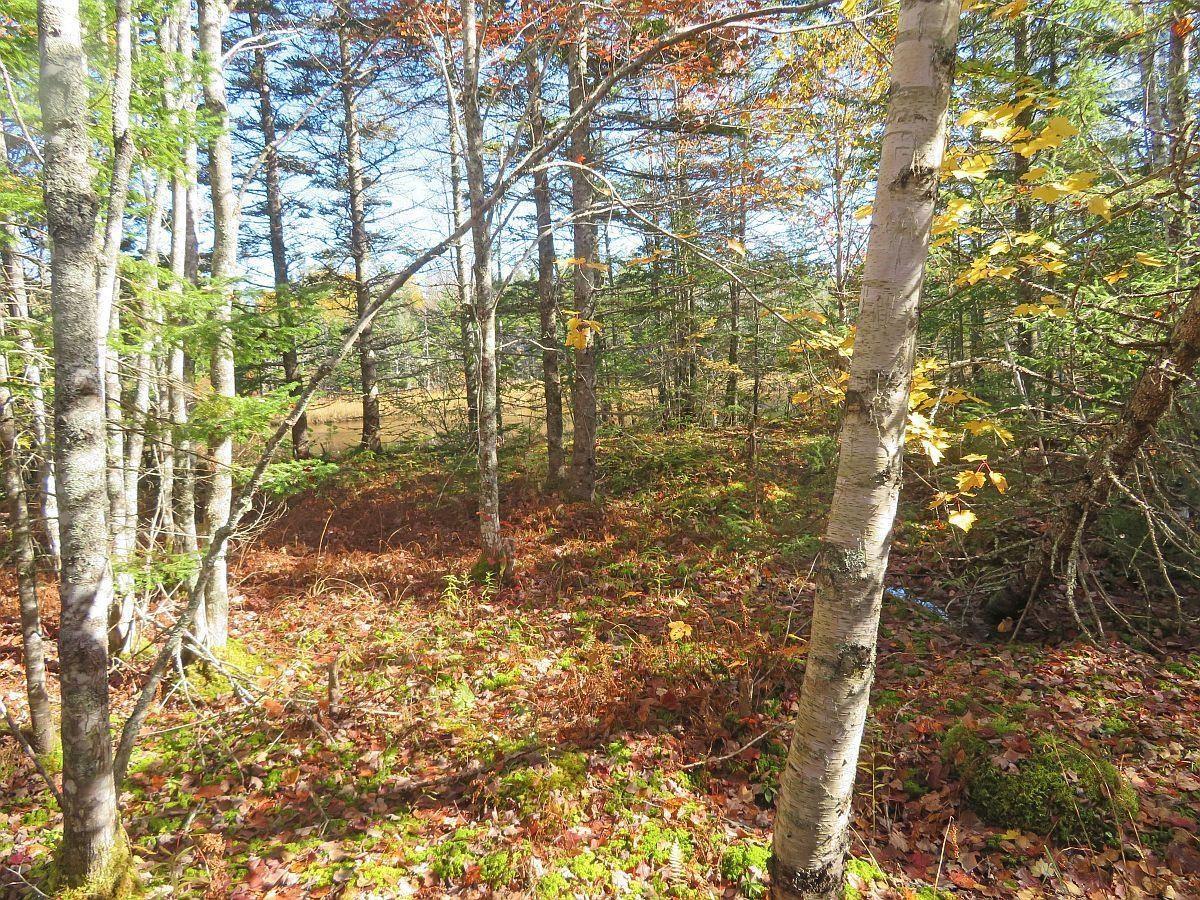 $60,000.00: Lot5 Lower River Road, Grantville