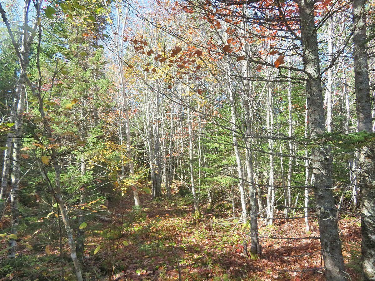 $60,000.00: Lot5 Lower River Road, Grantville