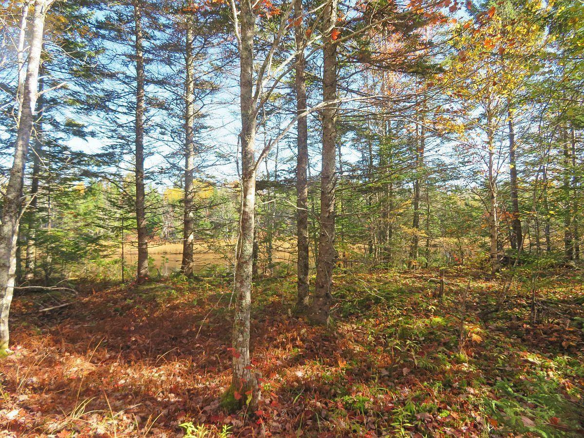 $60,000.00: Lot5 Lower River Road, Grantville