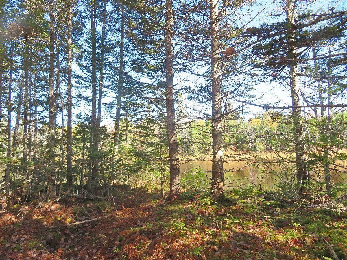 $60,000.00: Lot5 Lower River Road, Grantville