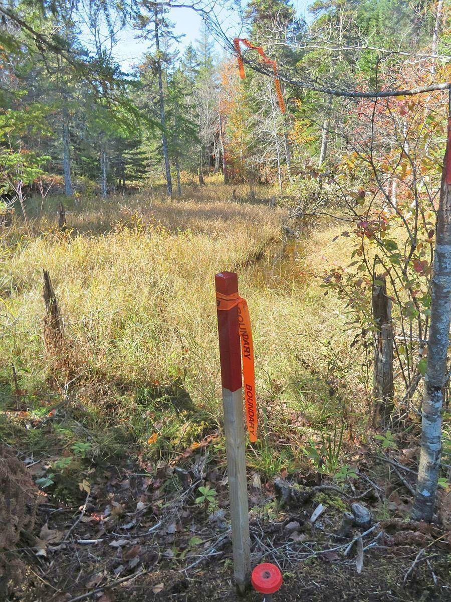 $60,000.00: Lot5 Lower River Road, Grantville