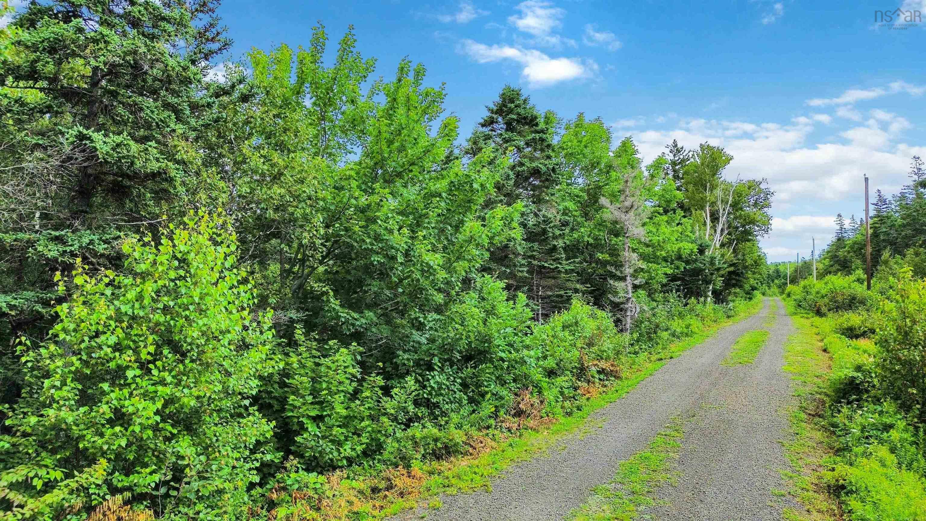 $149,900.00: Lot 4 Hampton Mountain Road, Hampton