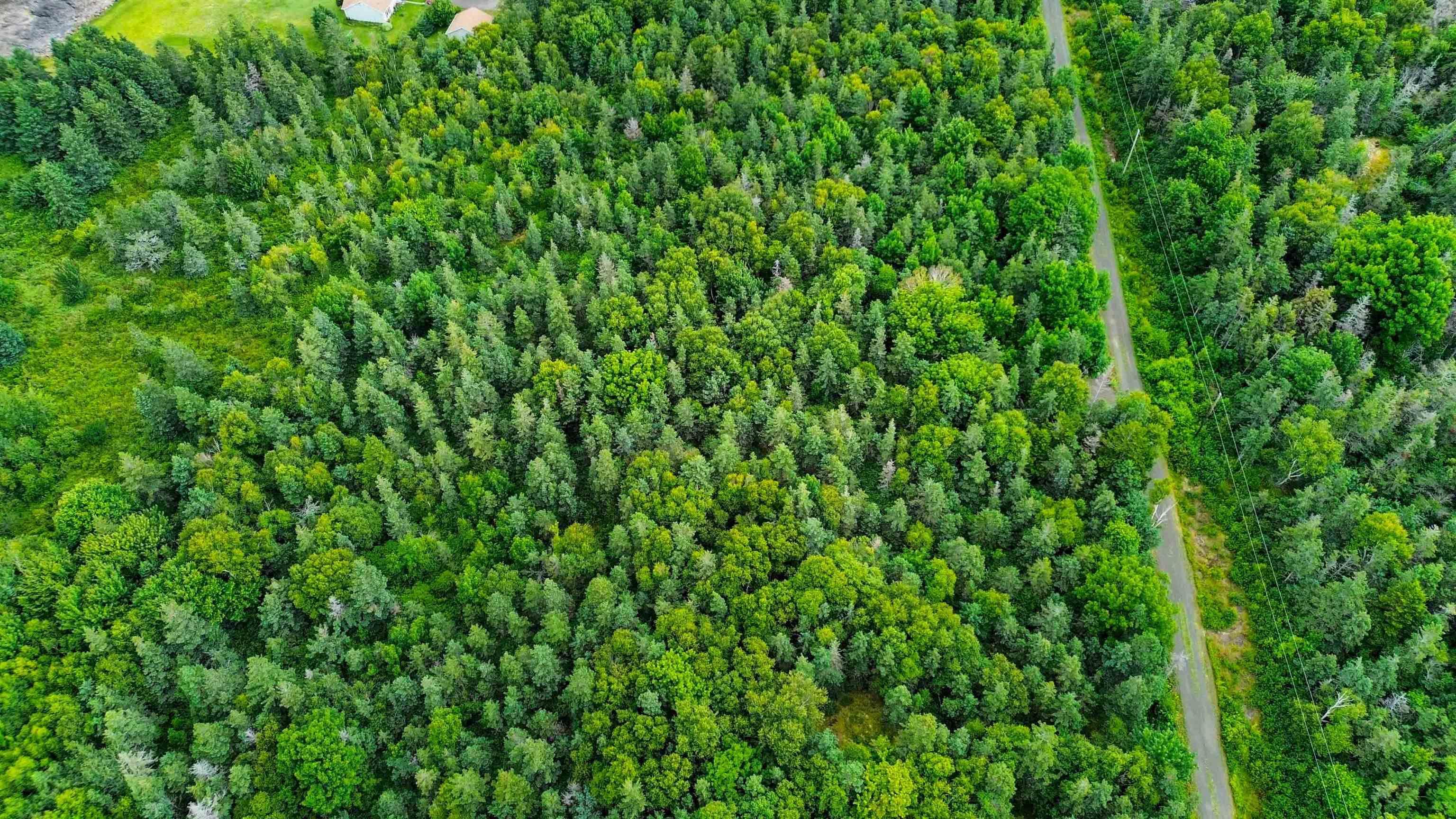 $149,900.00: Lot 5 Hampton Mountain Road, Hampton