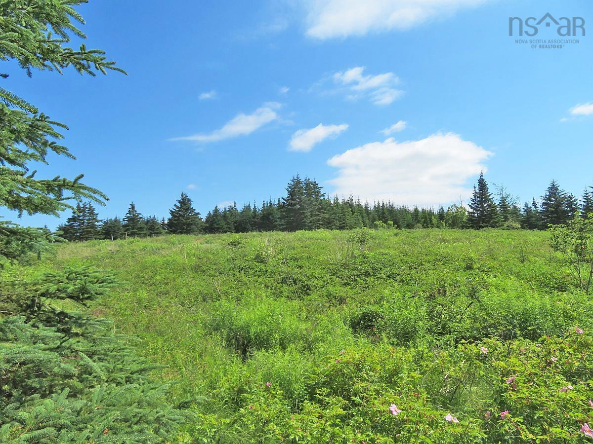$115,000.00: LOT 4 Highway 4, Soldiers Cove