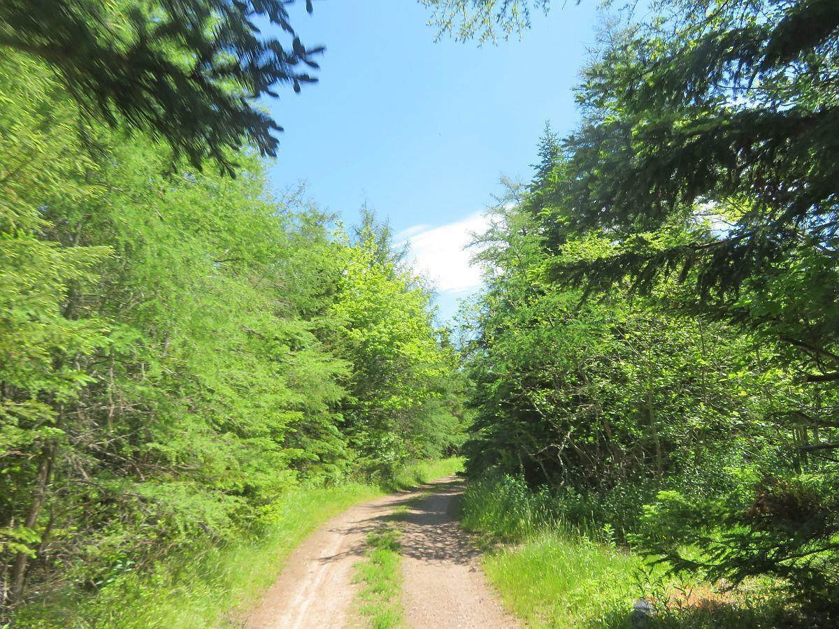 $115,000.00: LOT 4 Highway 4, Soldiers Cove