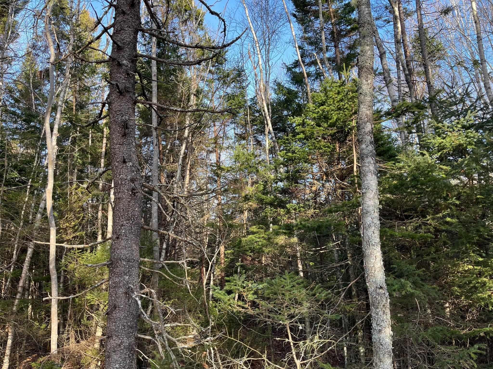 $34,900.00: Lot Egypt Road, Pleasant Lake