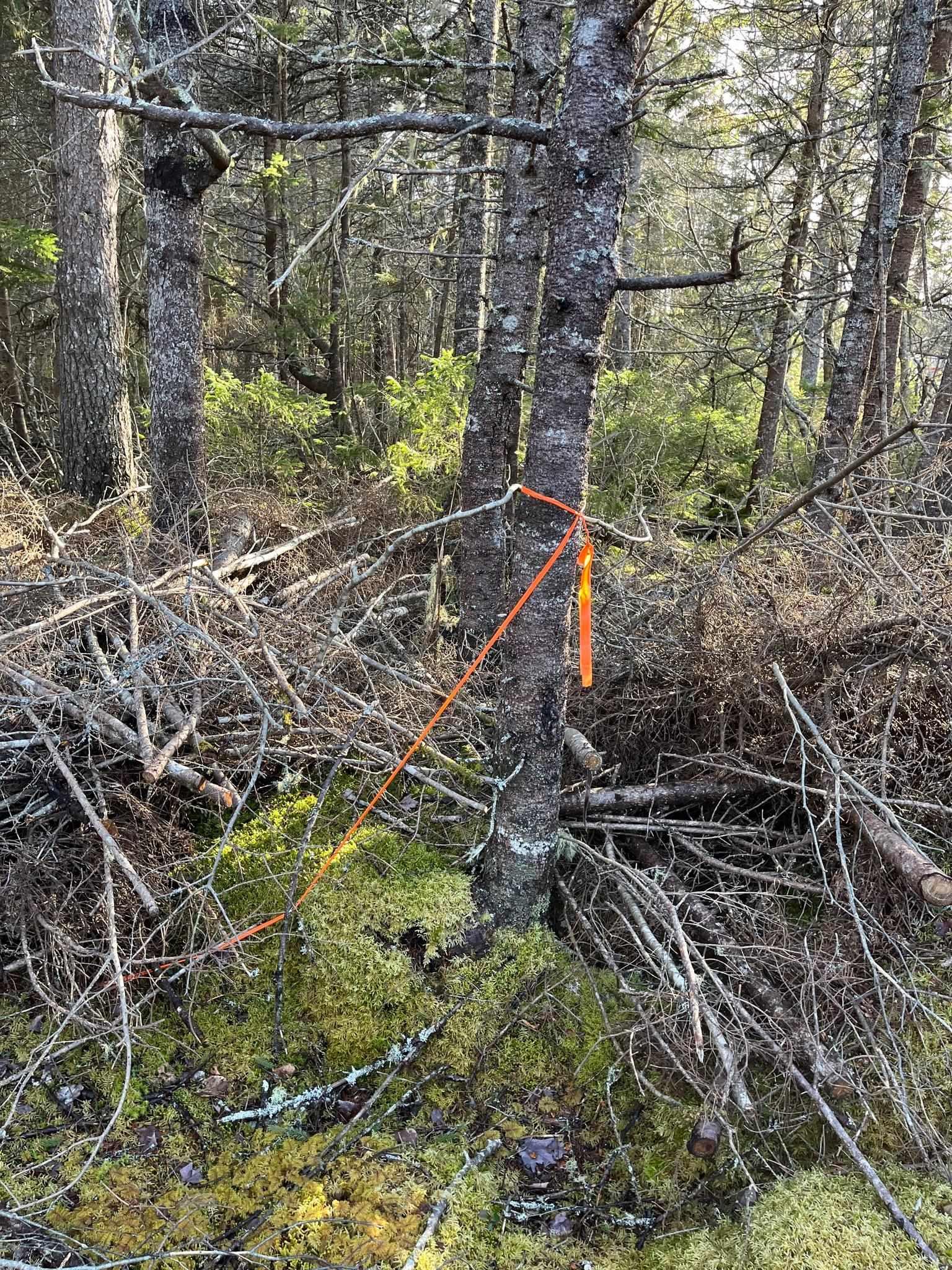$34,900.00: Lot Egypt Road, Pleasant Lake