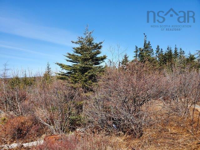 $39,000.00: Rocky's Lane, Central Woods Harbour