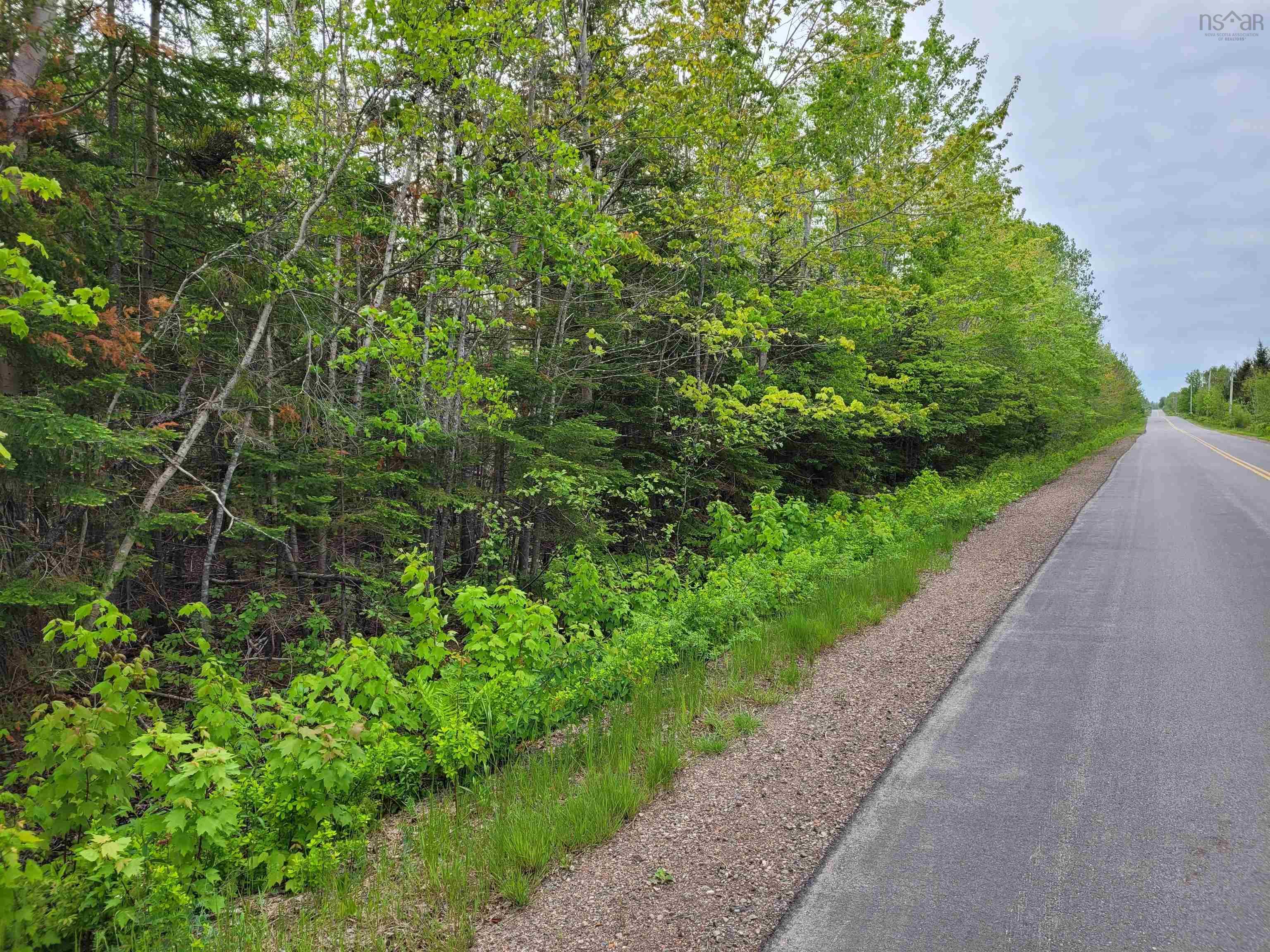 Lot Tattrie Settlement Road, French River, NS (MLS 202404137)