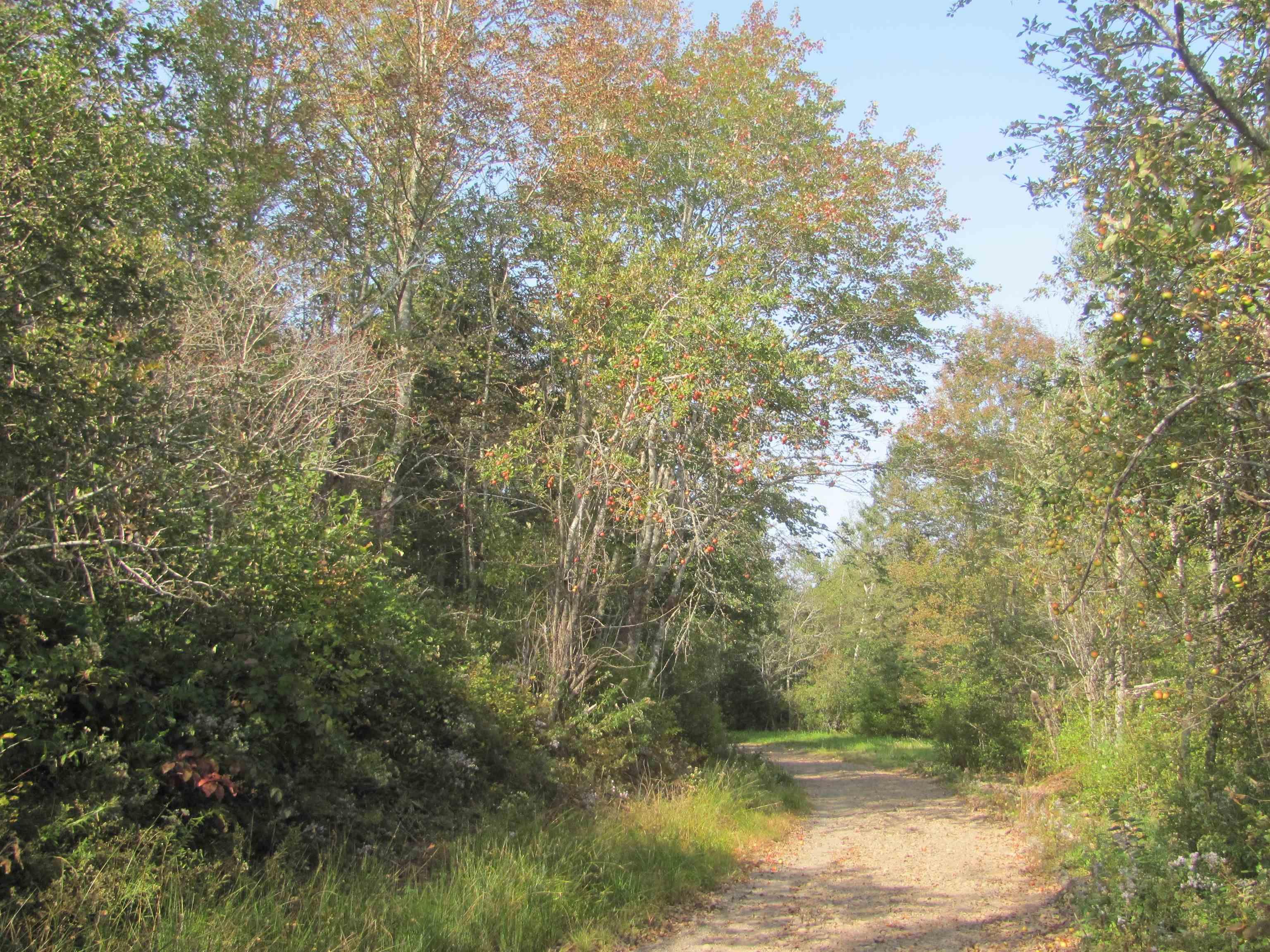 $129,000.00: Lot Fuller Road, Bishopville