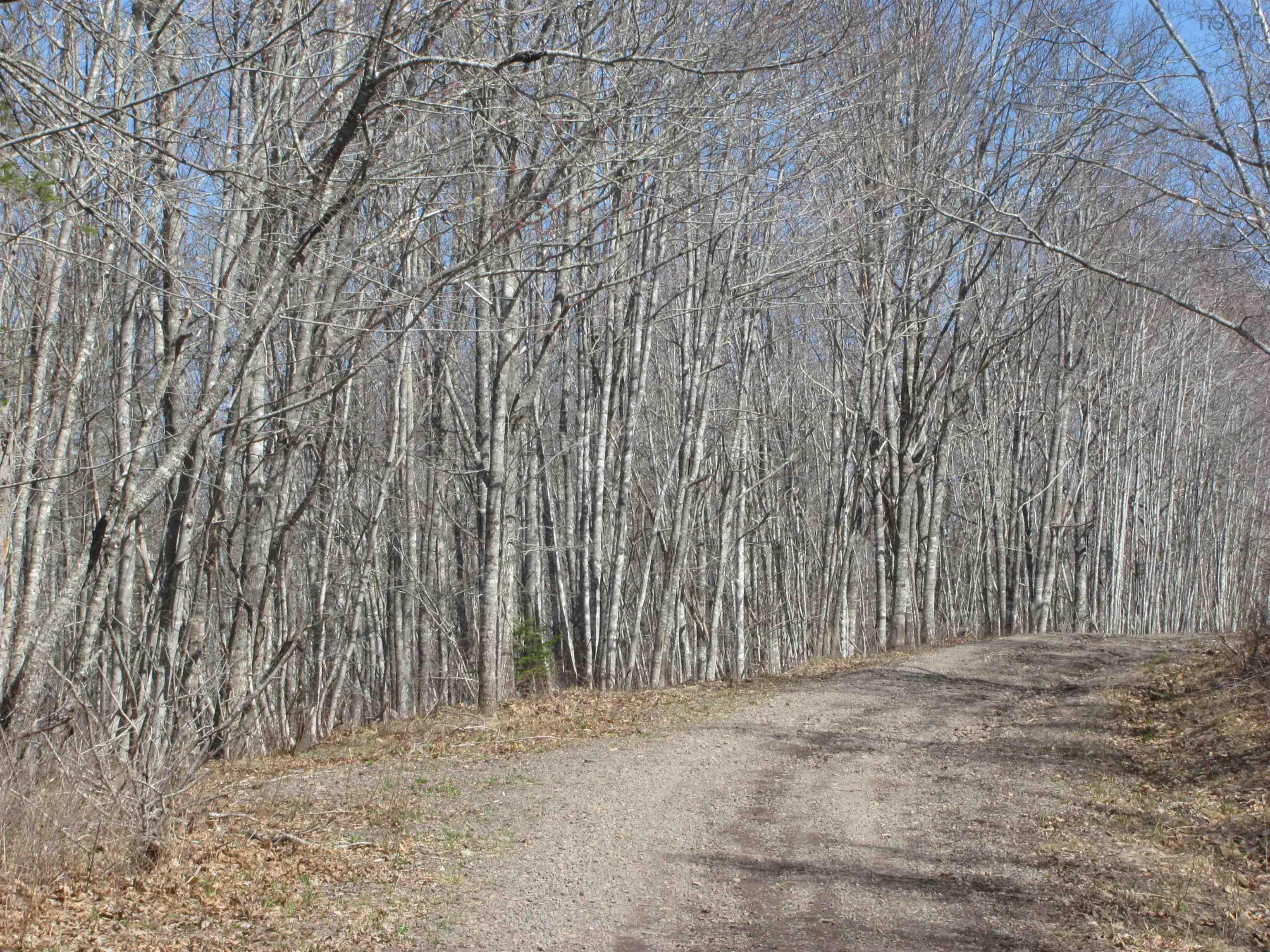 $129,000.00: Lot Fuller Road, Bishopville