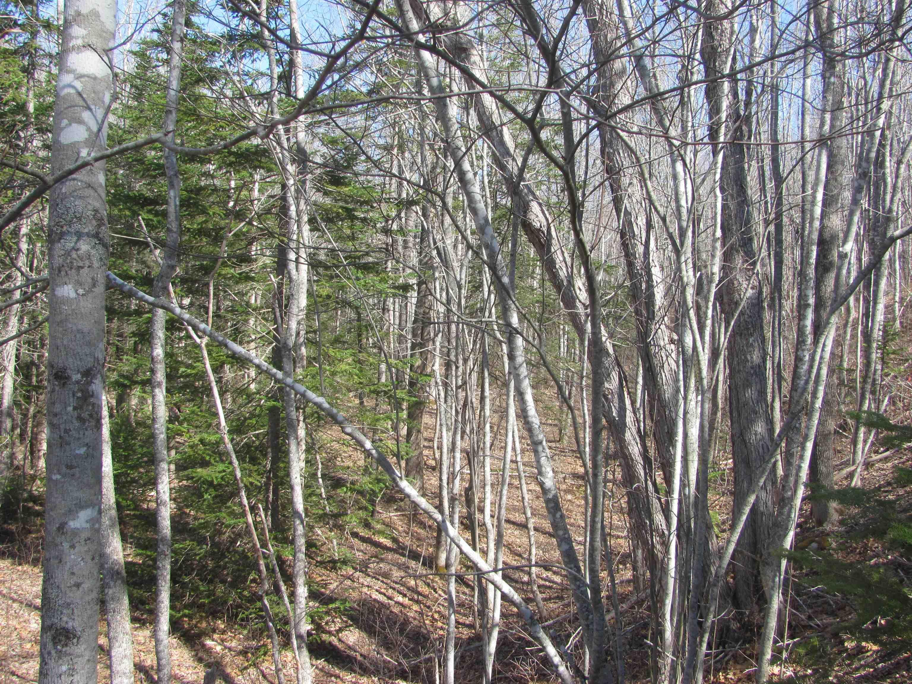 $129,000.00: Lot Fuller Road, Bishopville