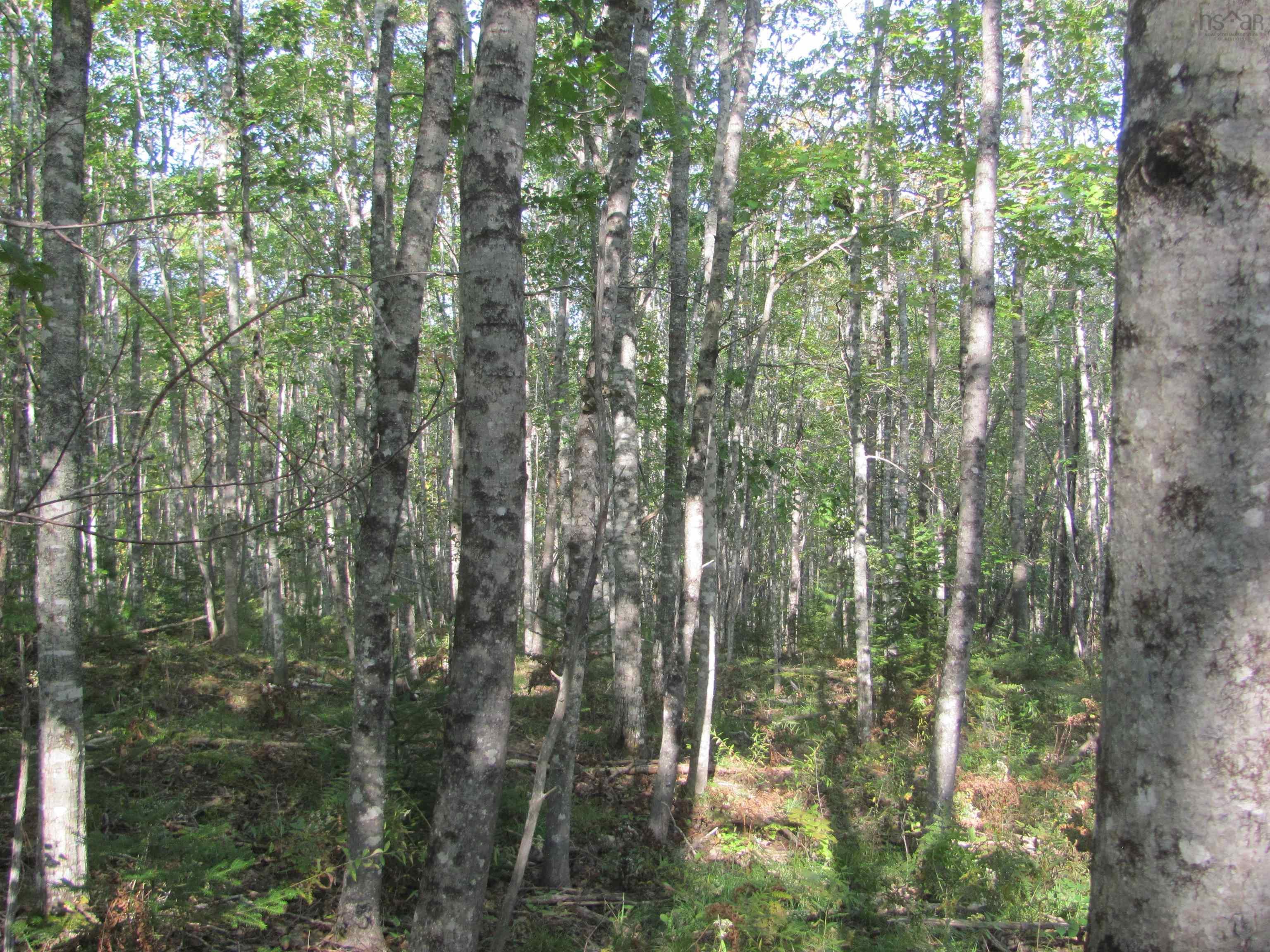 $129,000.00: Lot Fuller Road, Bishopville