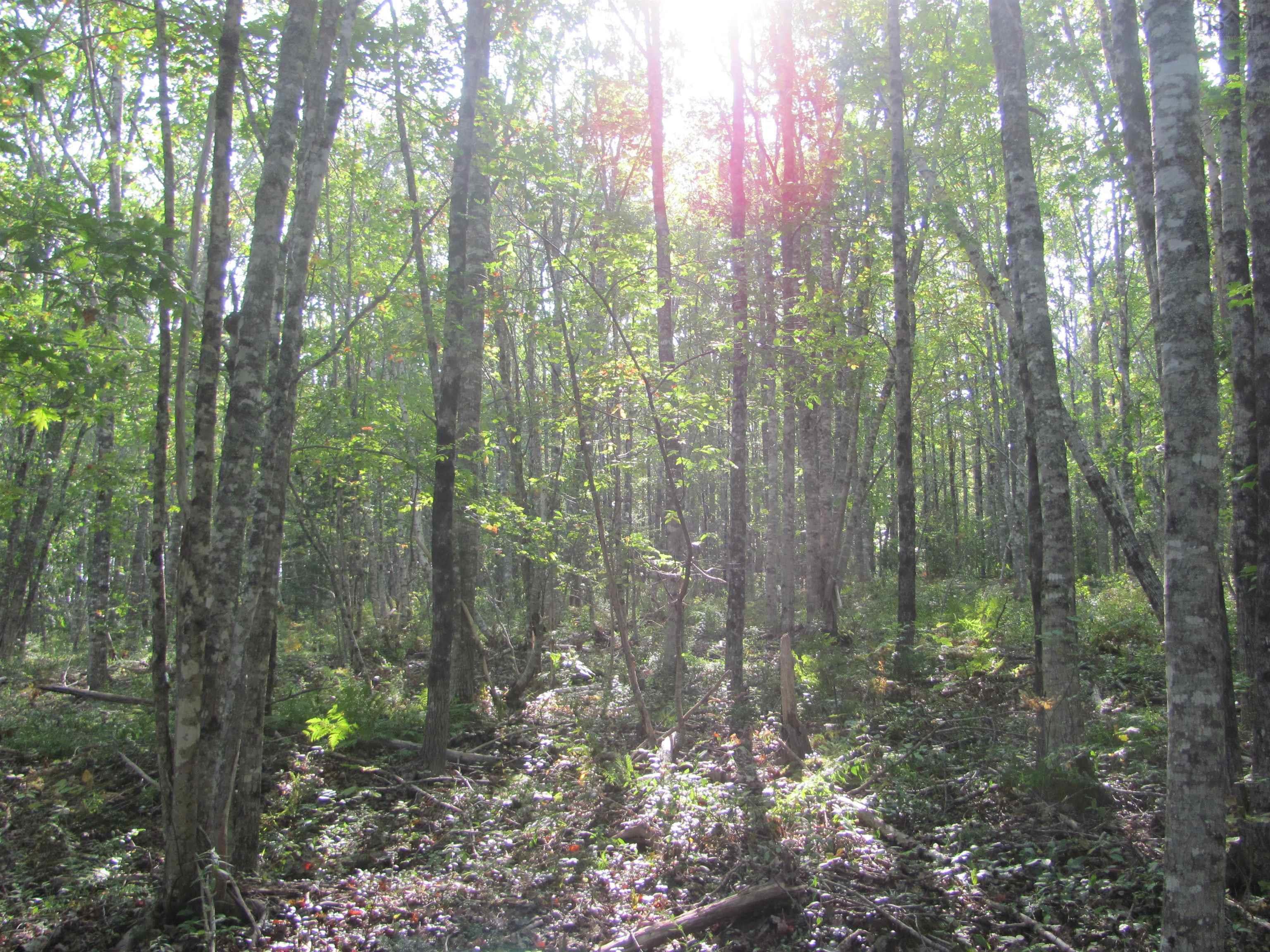 $129,000.00: Lot Fuller Road, Bishopville