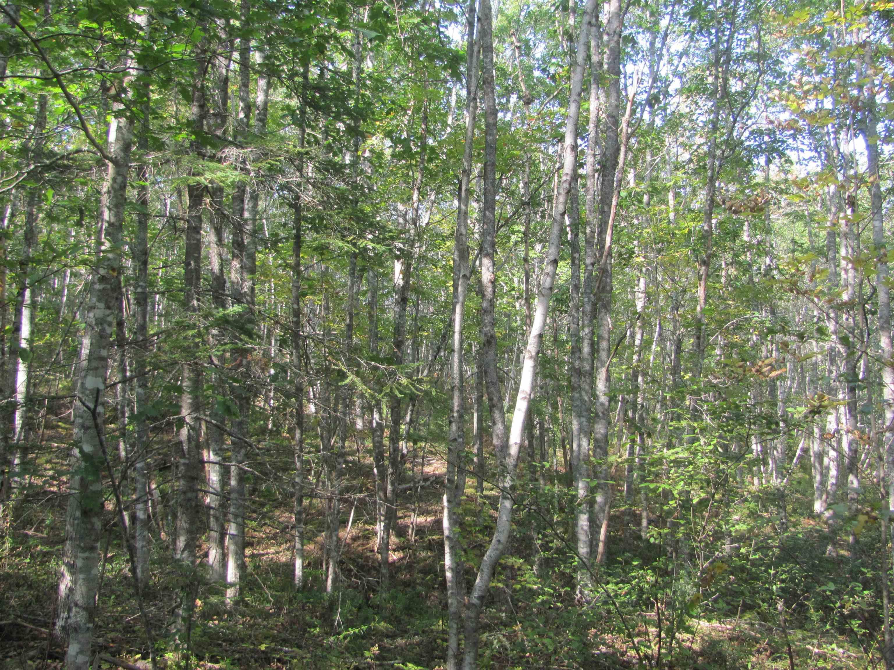 $129,000.00: Lot Fuller Road, Bishopville