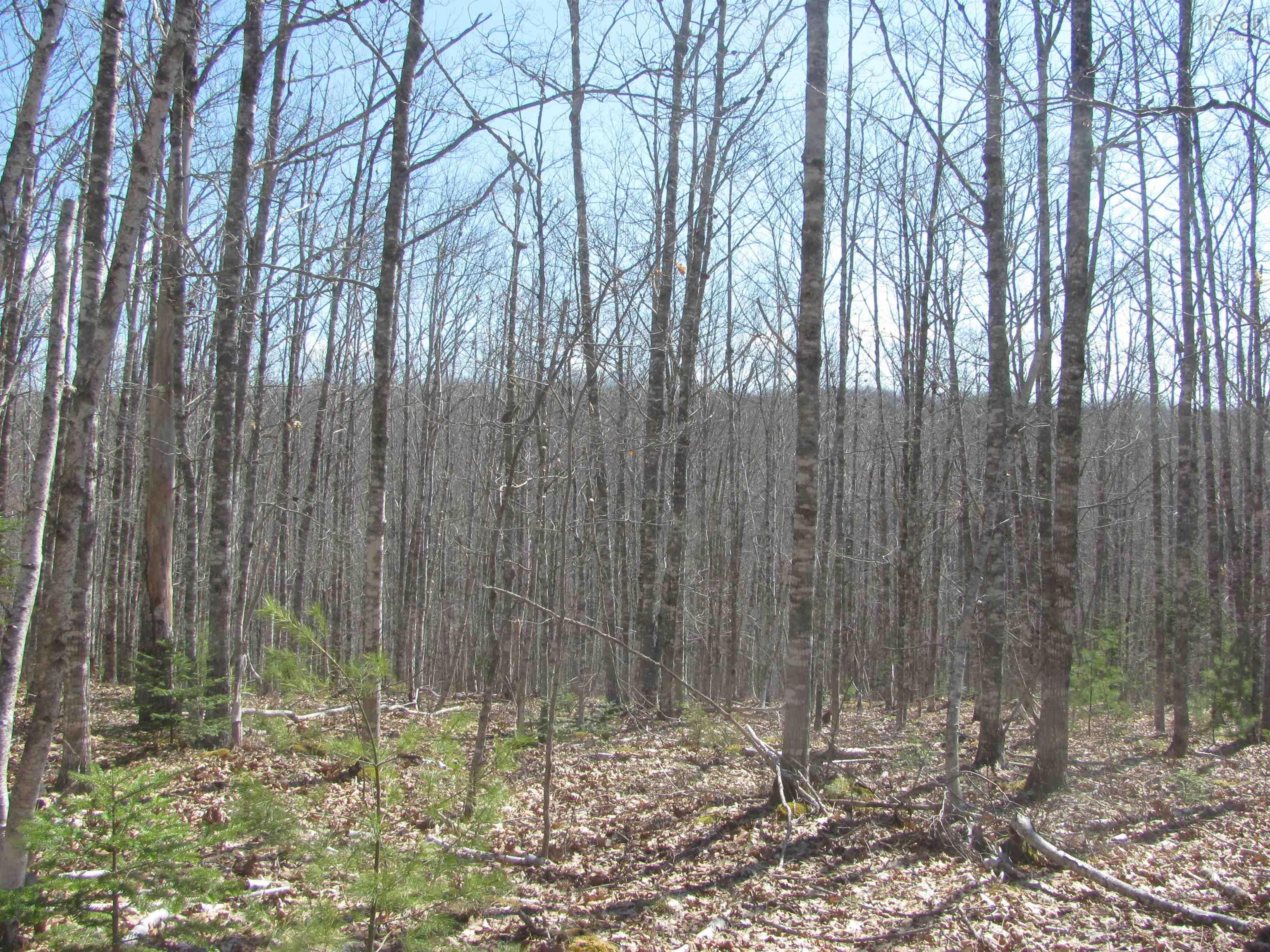 $129,000.00: Lot Fuller Road, Bishopville
