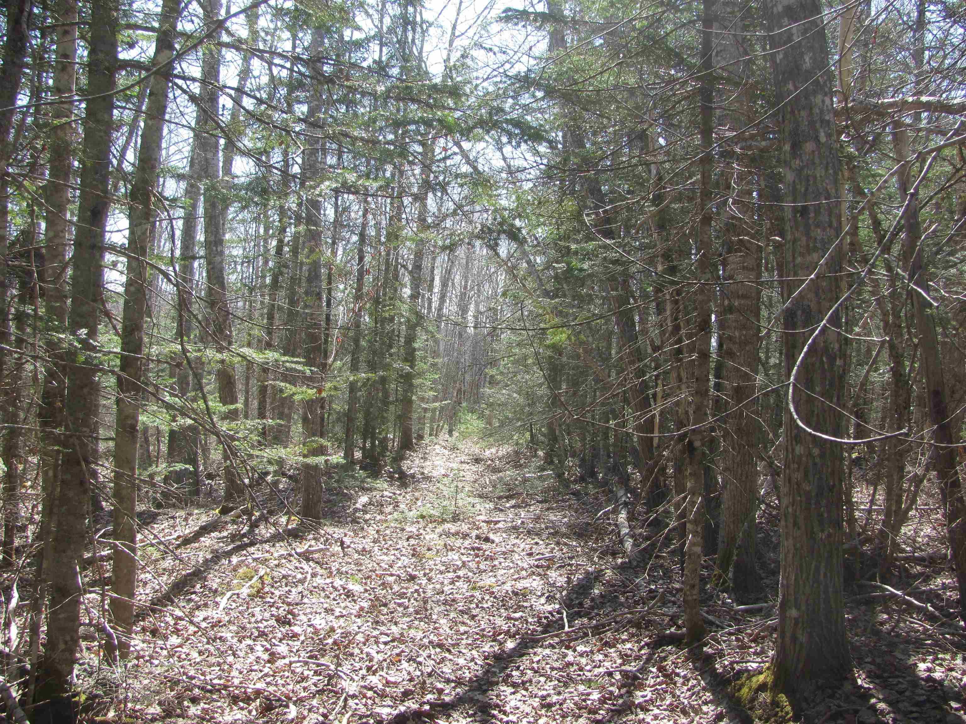 $129,000.00: Lot Fuller Road, Bishopville