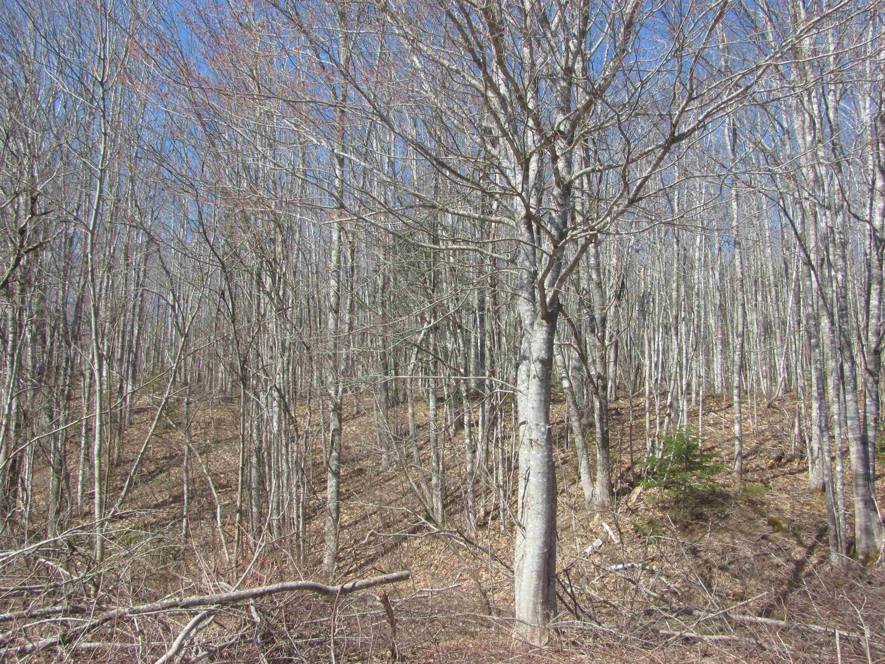 $129,000.00: Lot Fuller Road, Bishopville