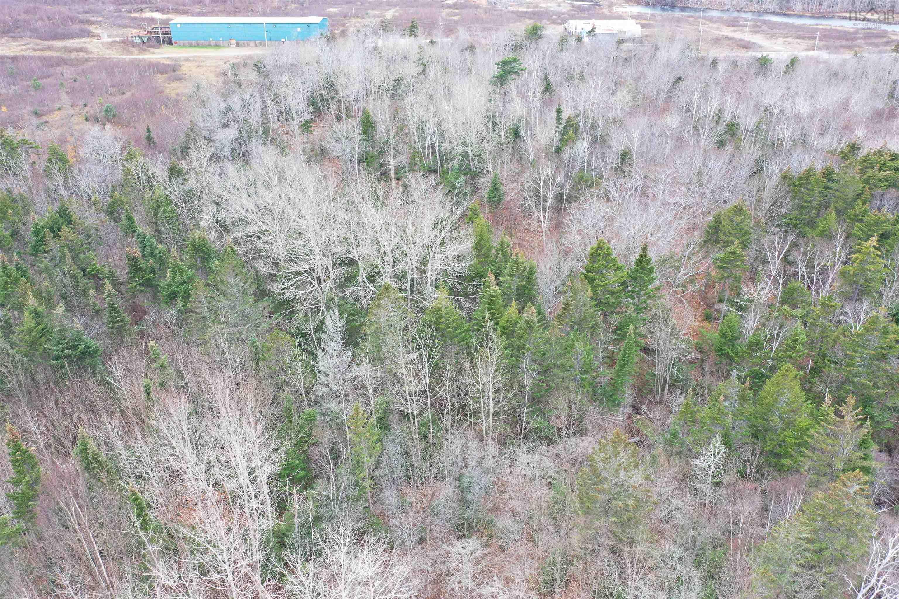 $10,000.00: Weymouth Falls Road, Weymouth Falls