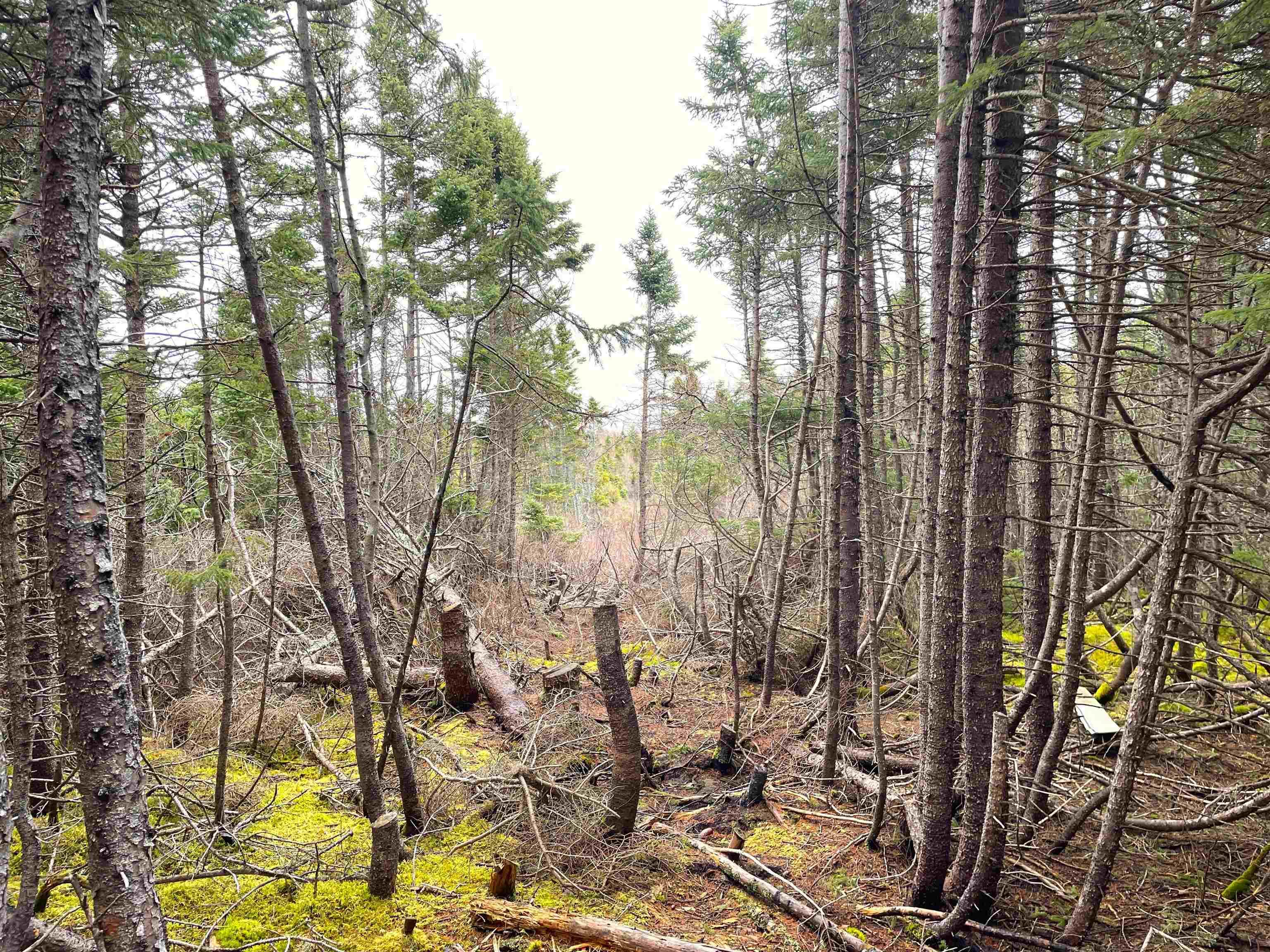 $129,000.00: 27 Chemin Shomphe Road, Chéticamp