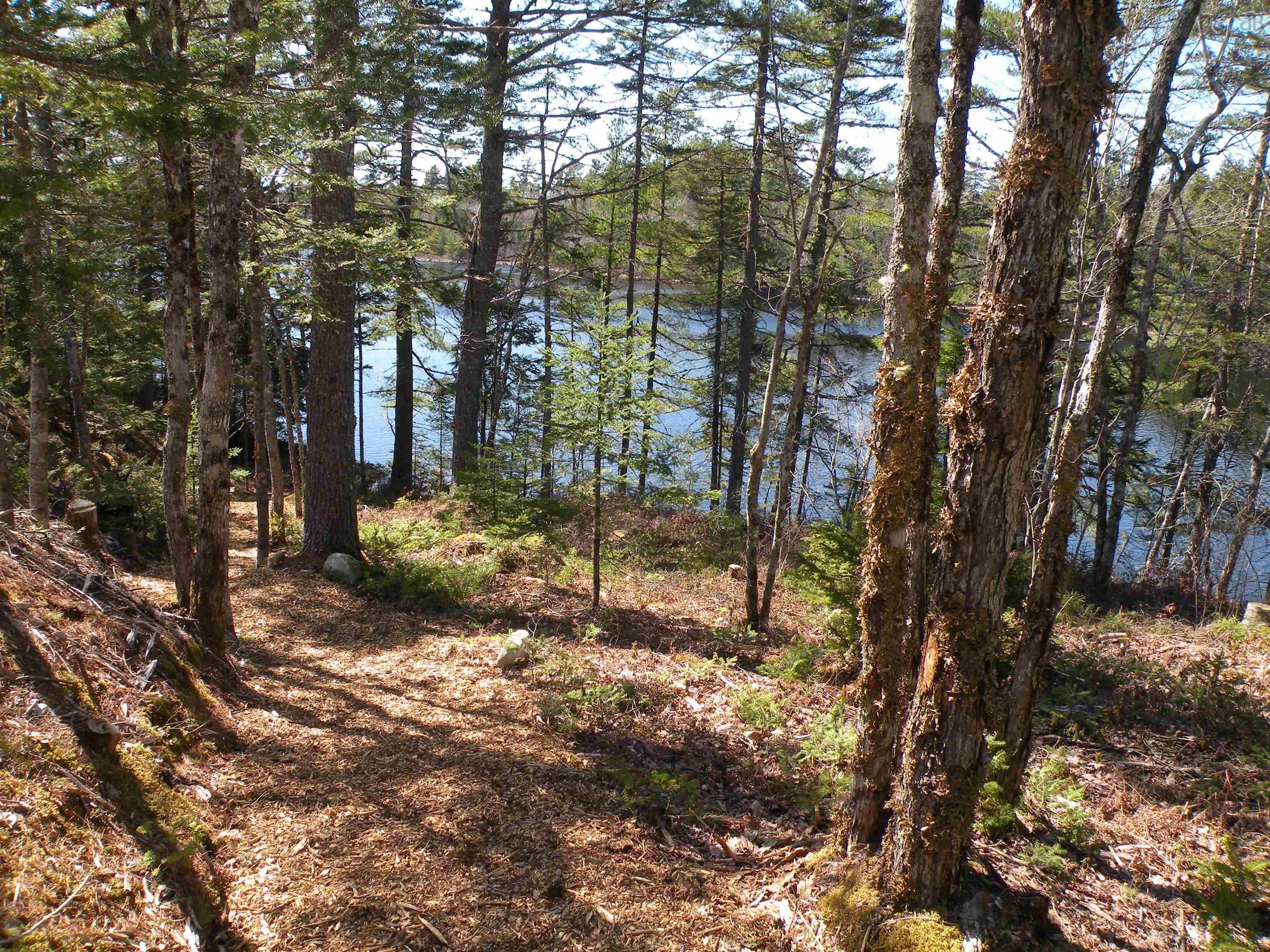 $1,119,000.00: 349 Meek Arm Trail, East Hants