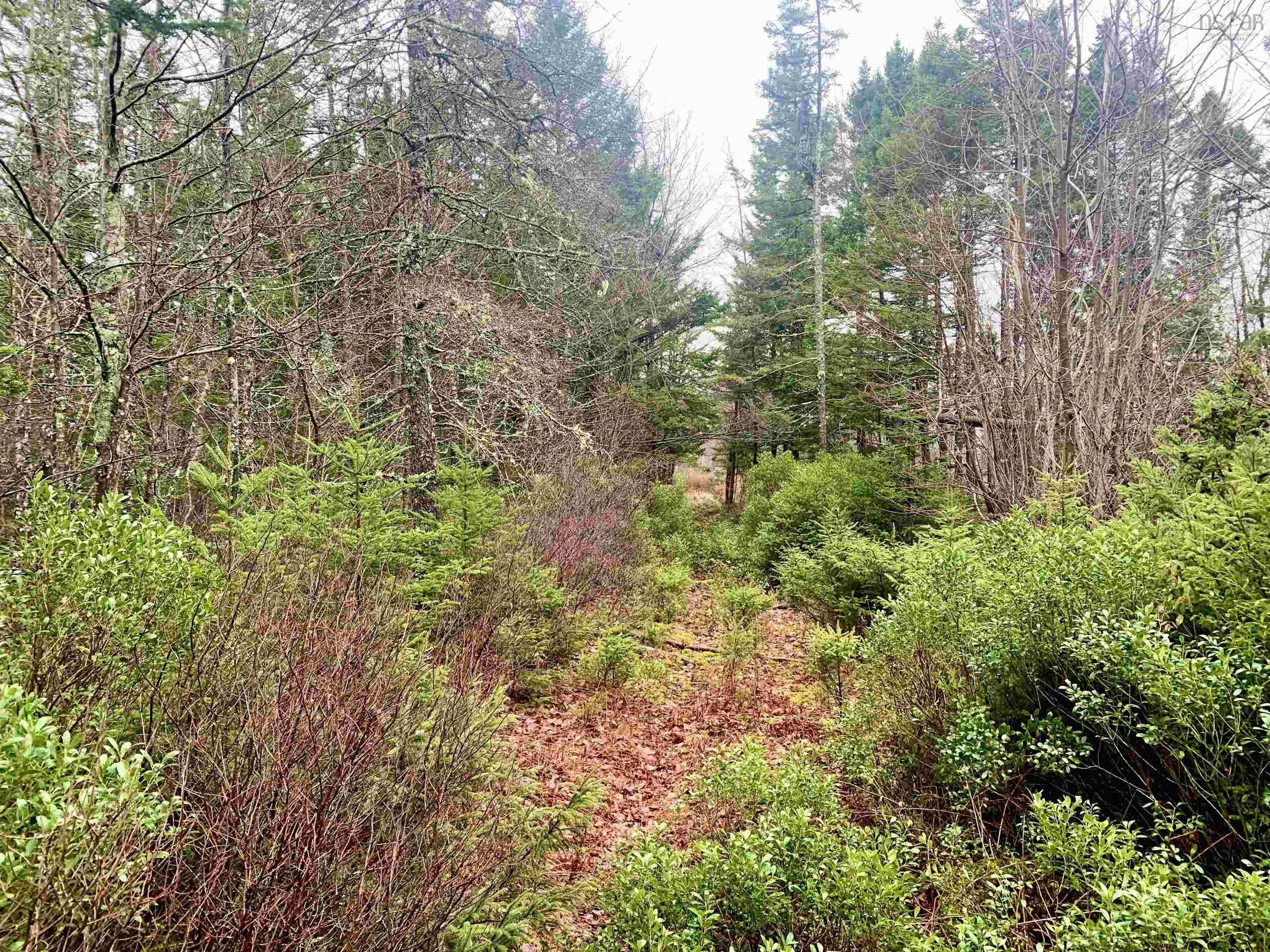 $24,999.00: 2.3 Acres Highway 308, Tusket